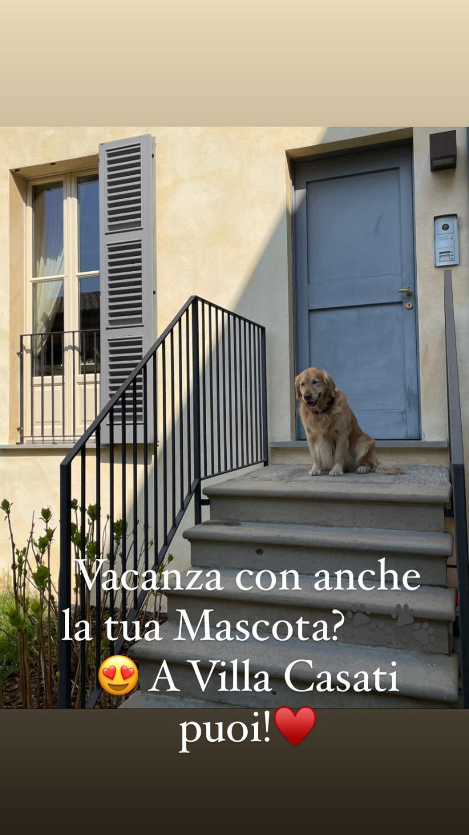 Photo 34