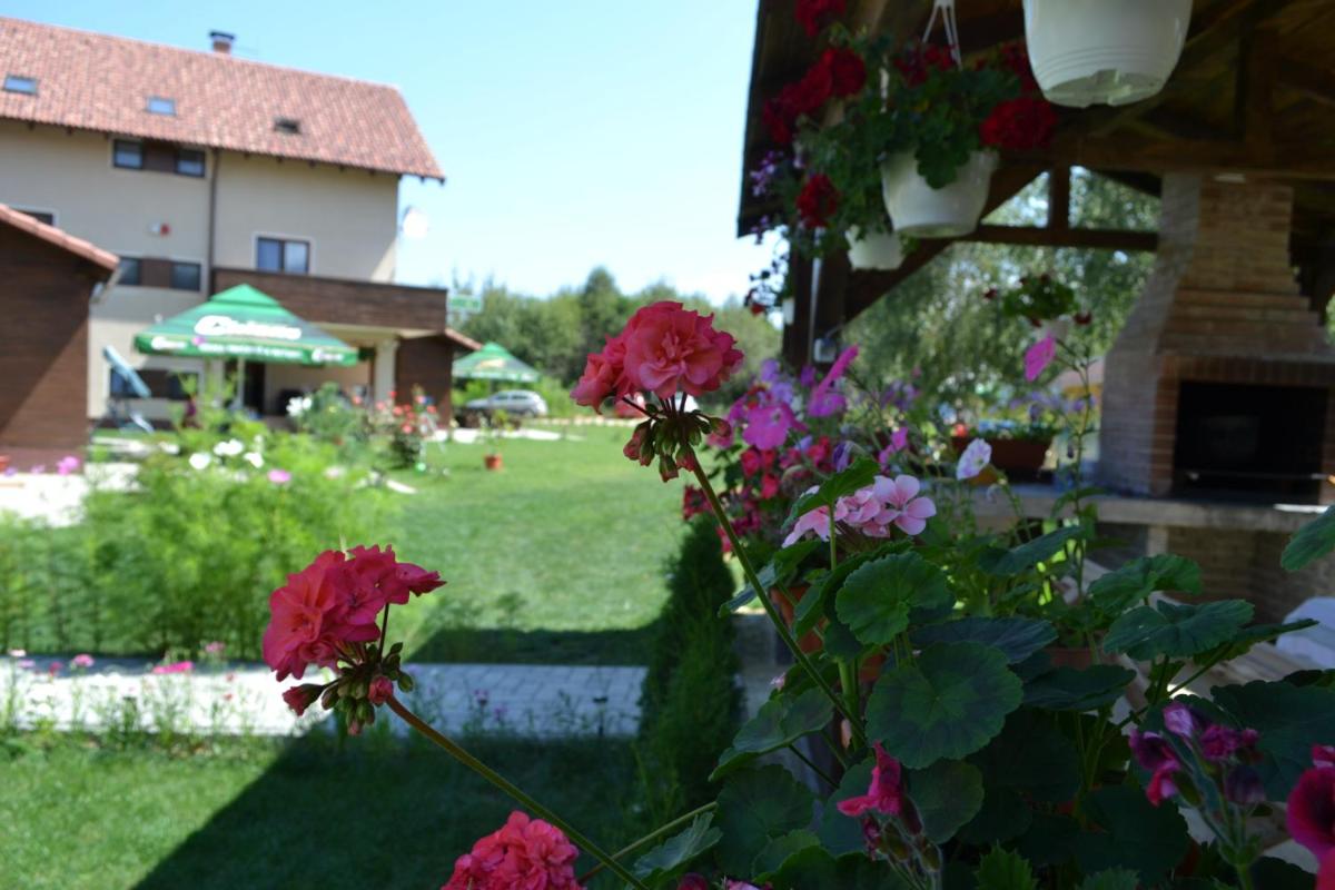 Pensiunea Royal Garden view 4