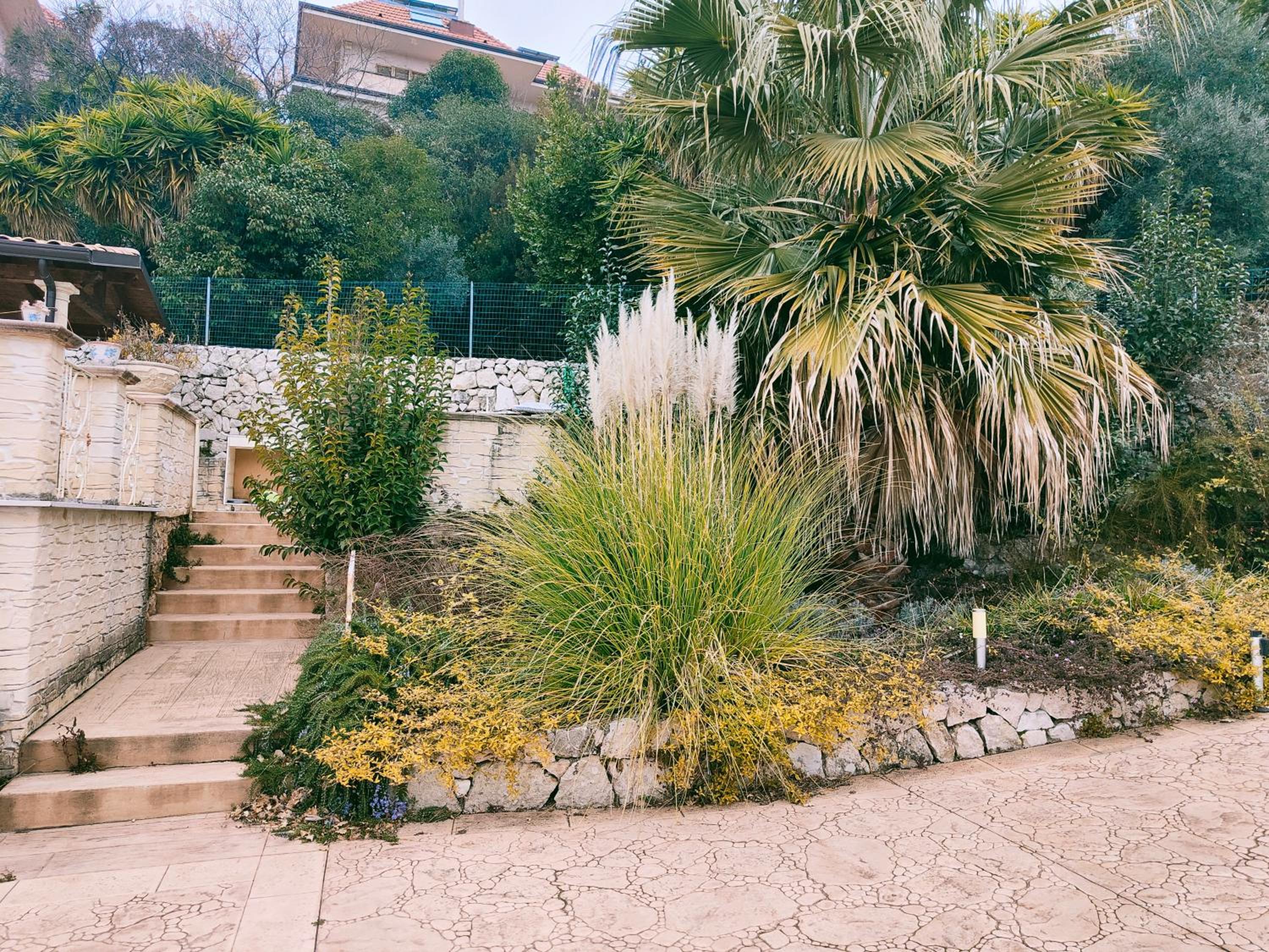 Villa angiole view 3