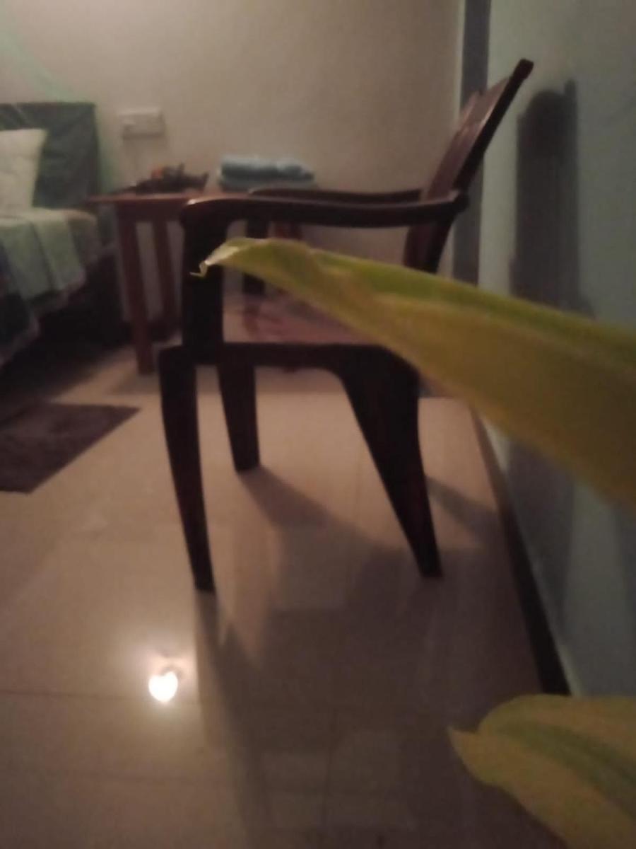 Photo 38