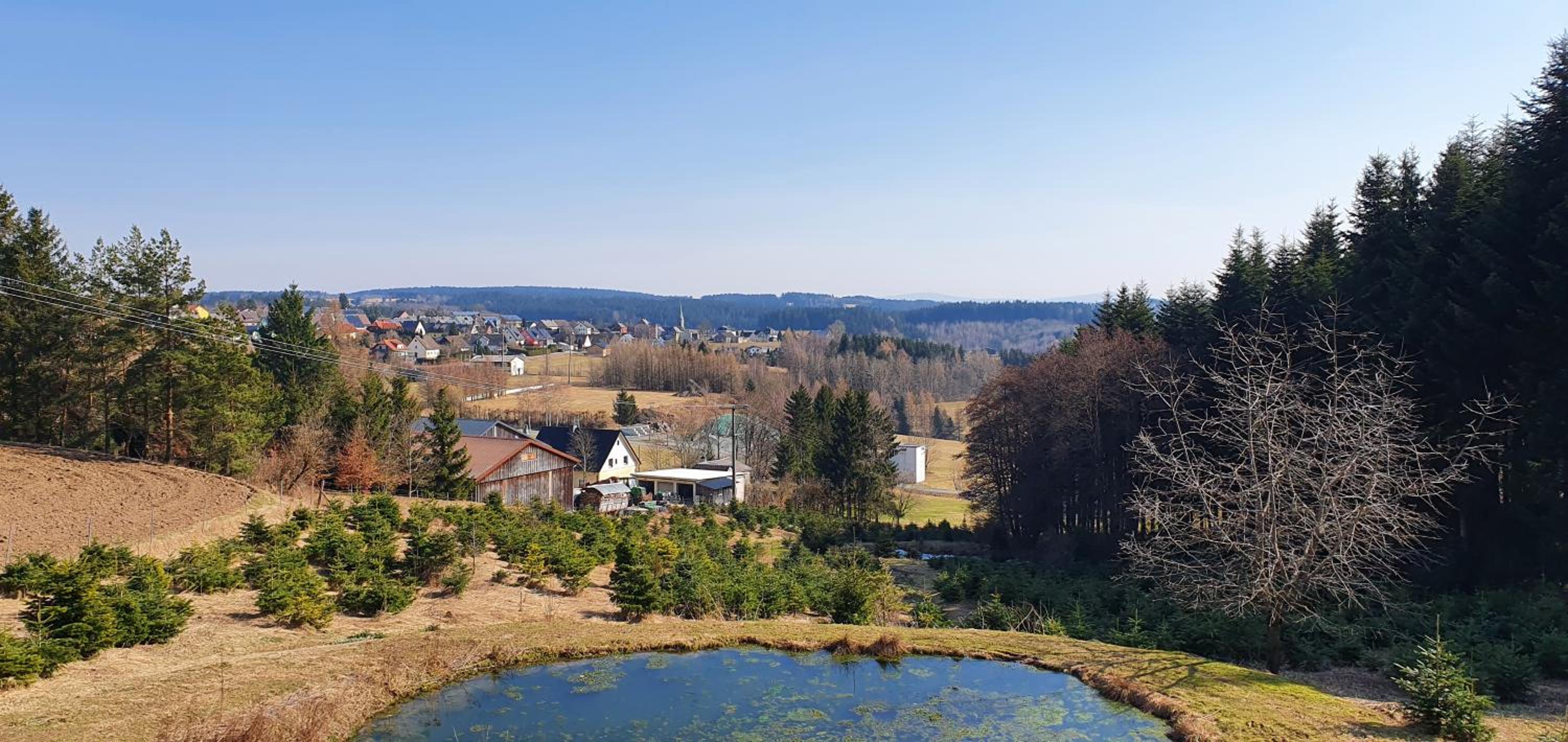 Ferienwohnung Norbert - Property Image 10