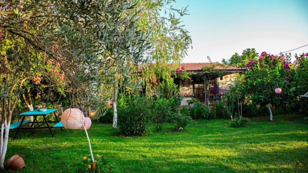 Masal Evimiz - Image 48