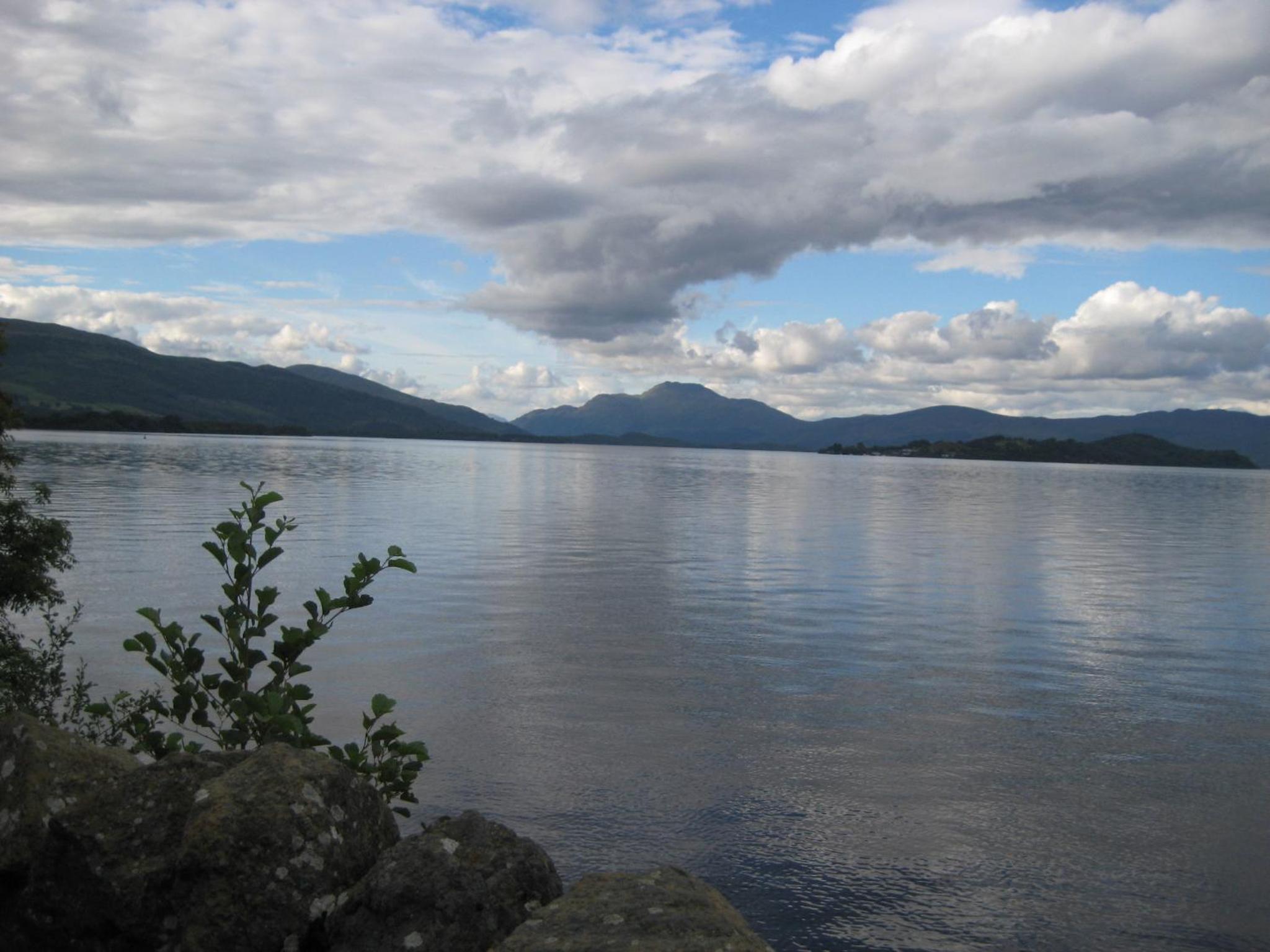 Photo 42