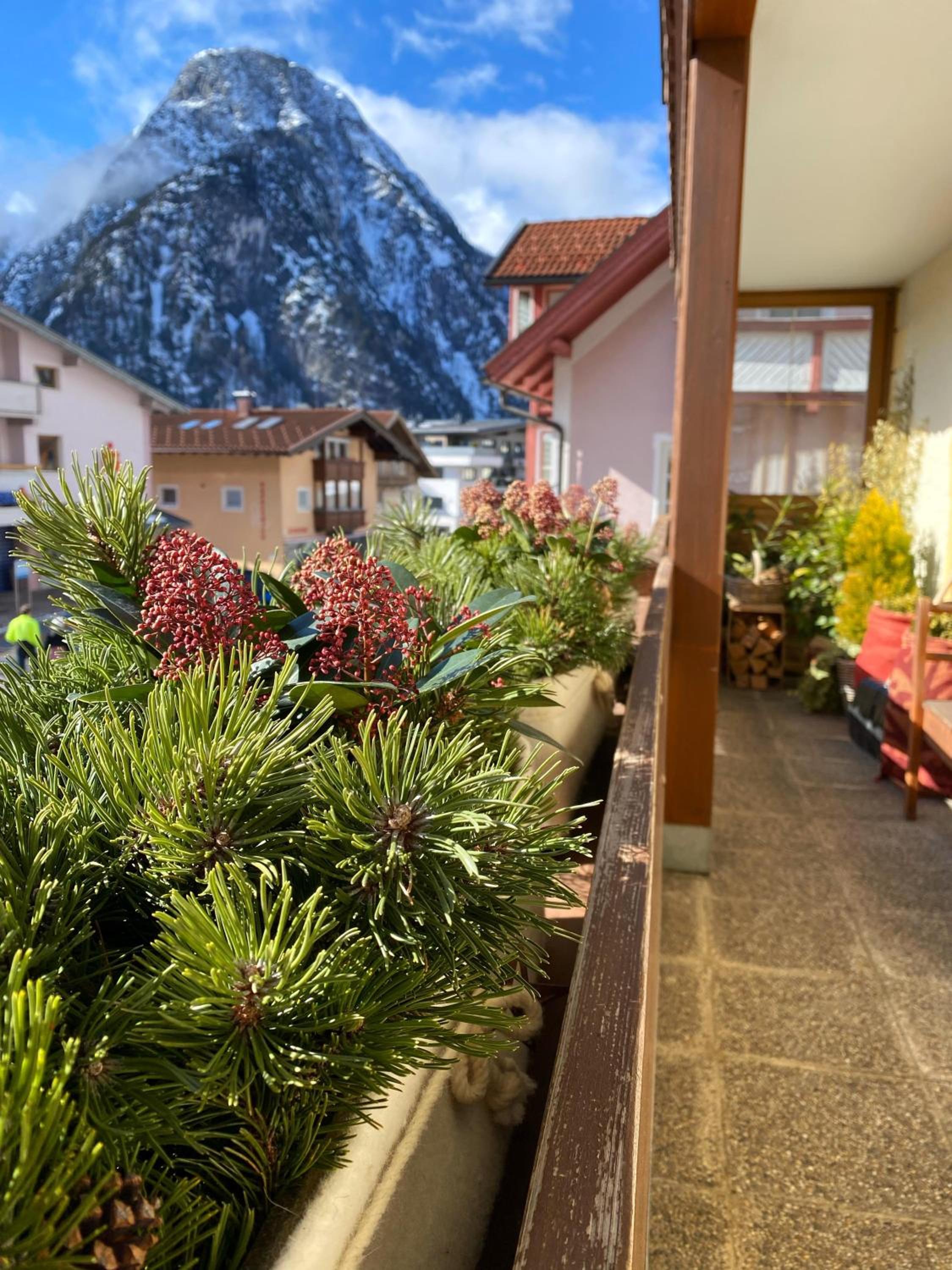 Dorfapartment Achensee view 4