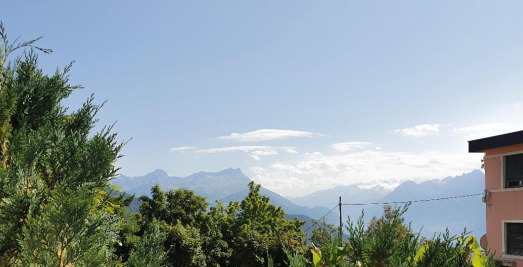 Heidi view 4