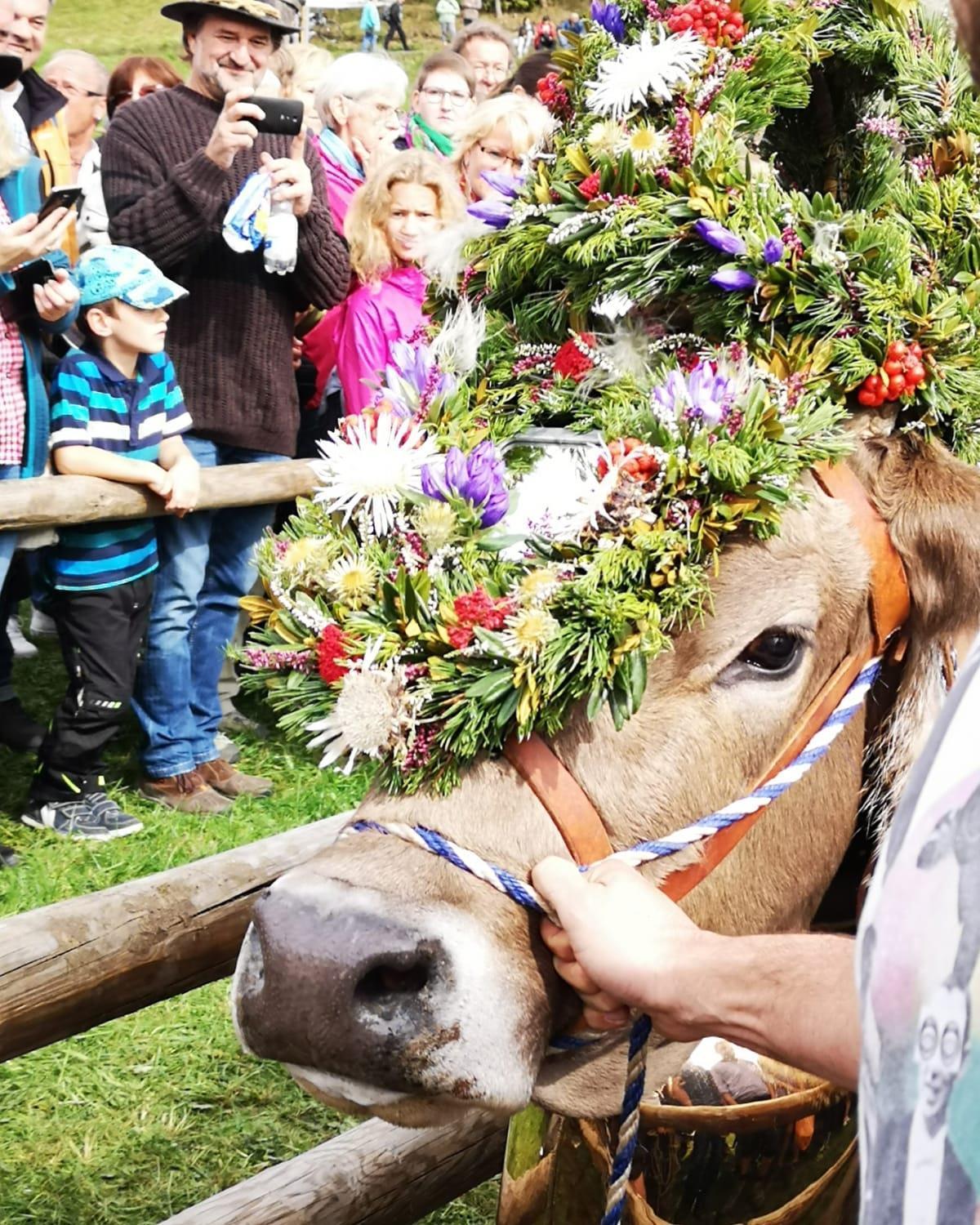 Ferienwohnung Alpenherz