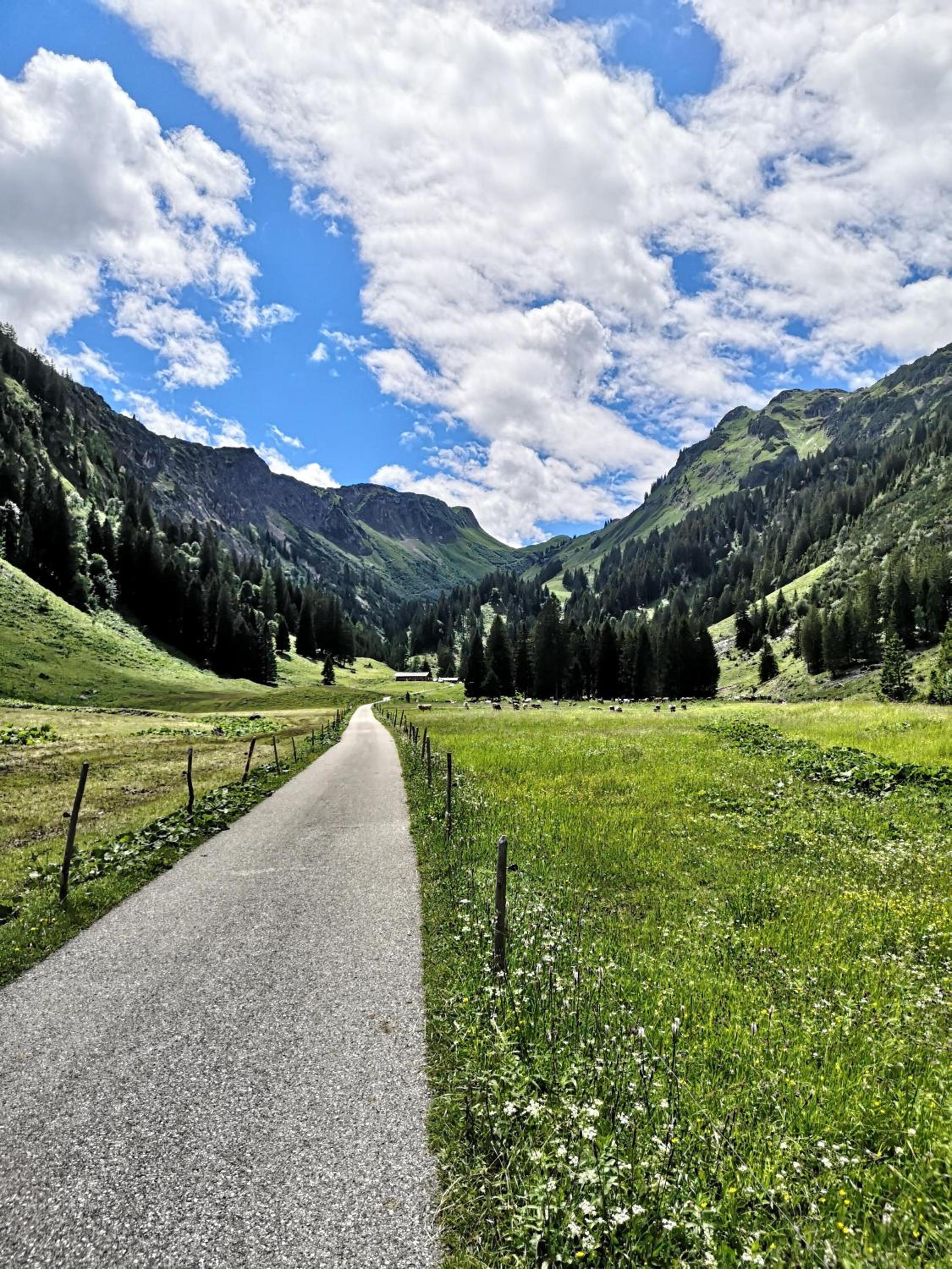 Ferienwohnung Alpenherz