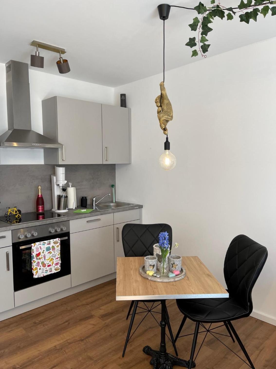 Exklusive Ferienwohnung 5km vom Centrum view 3