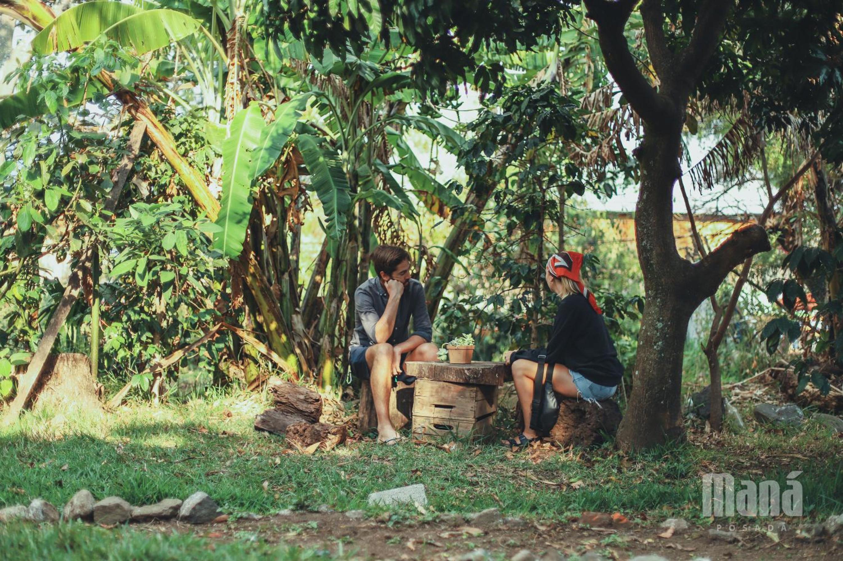 Photo 42