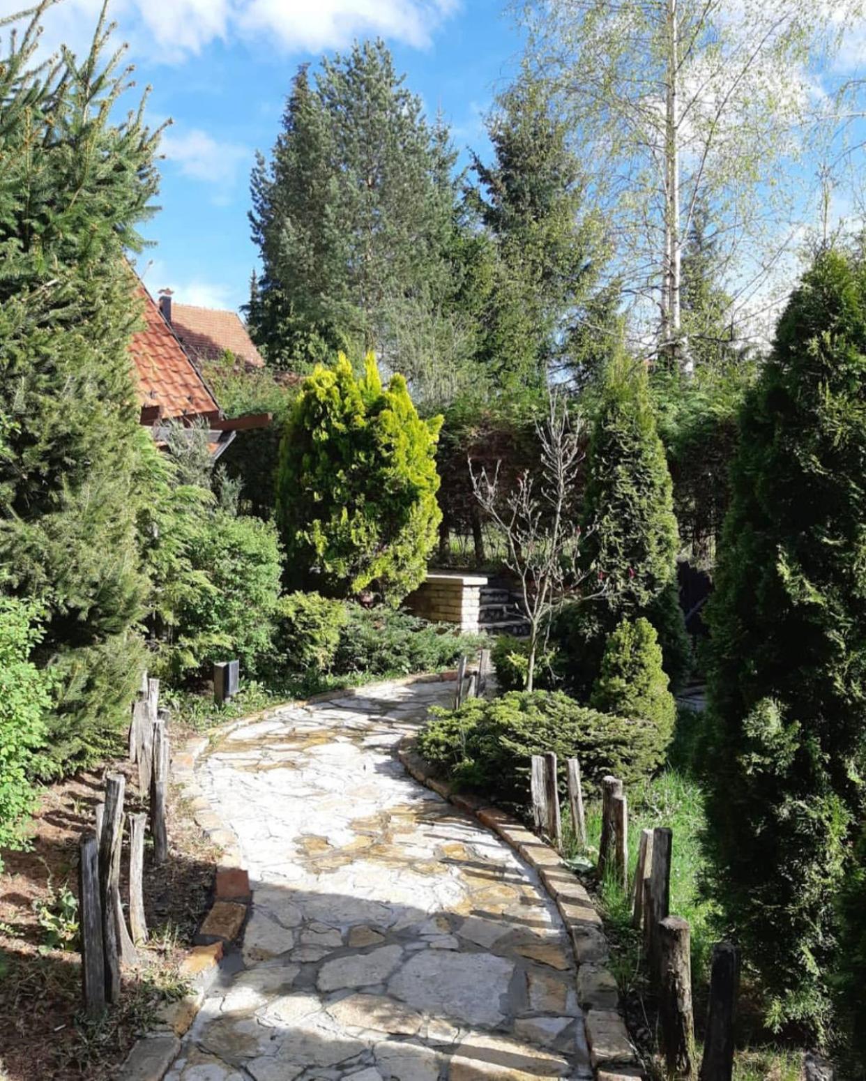 Photo 23