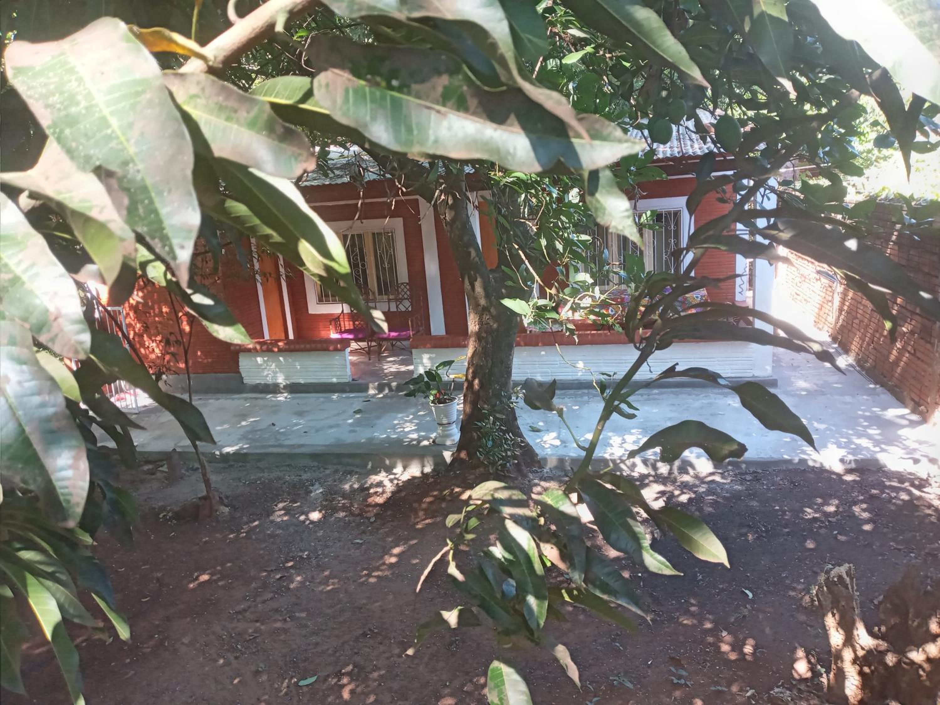 Photo 17