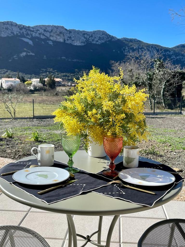 Domaine Mas Terra view 5