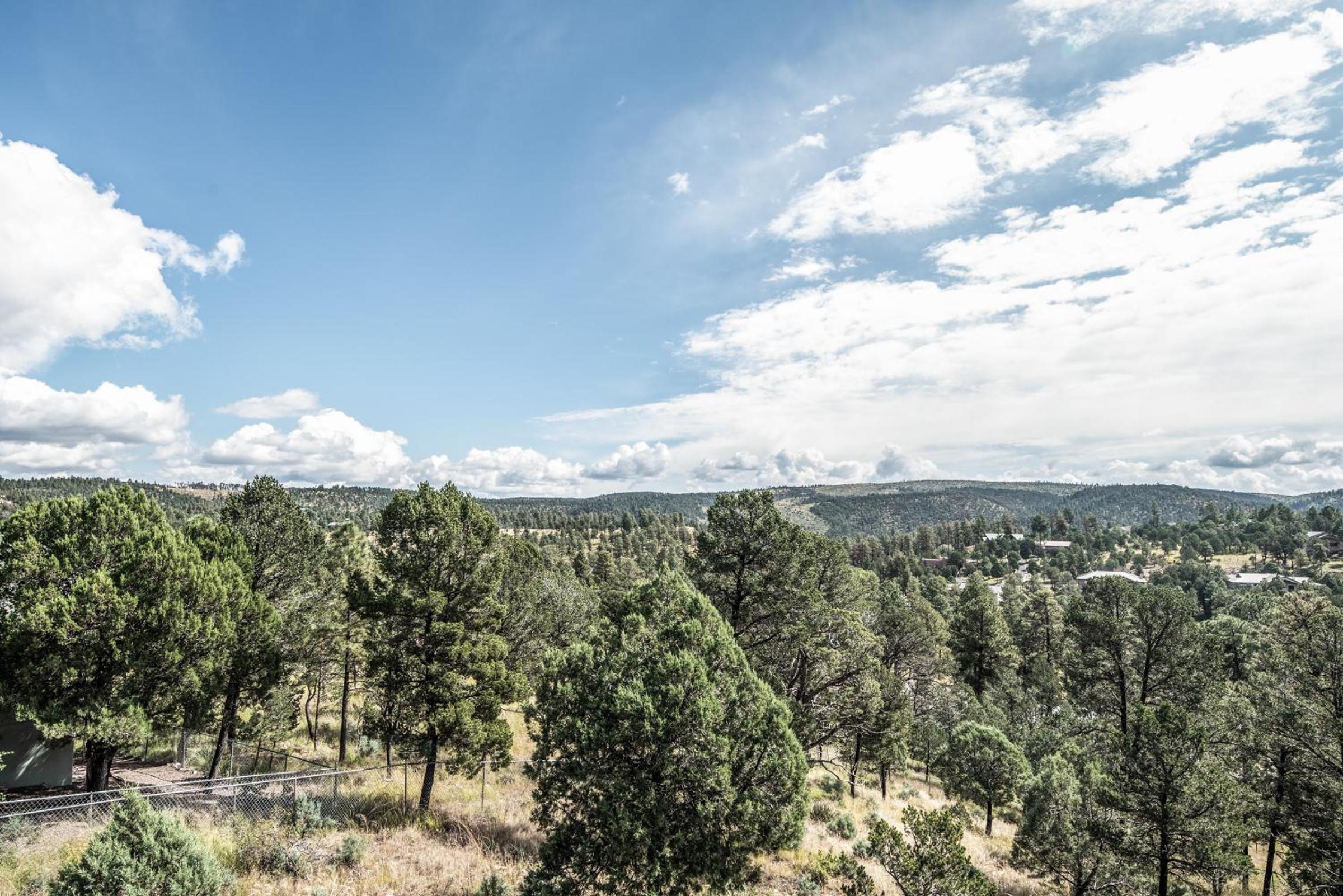 White Mountain Chateau view 4