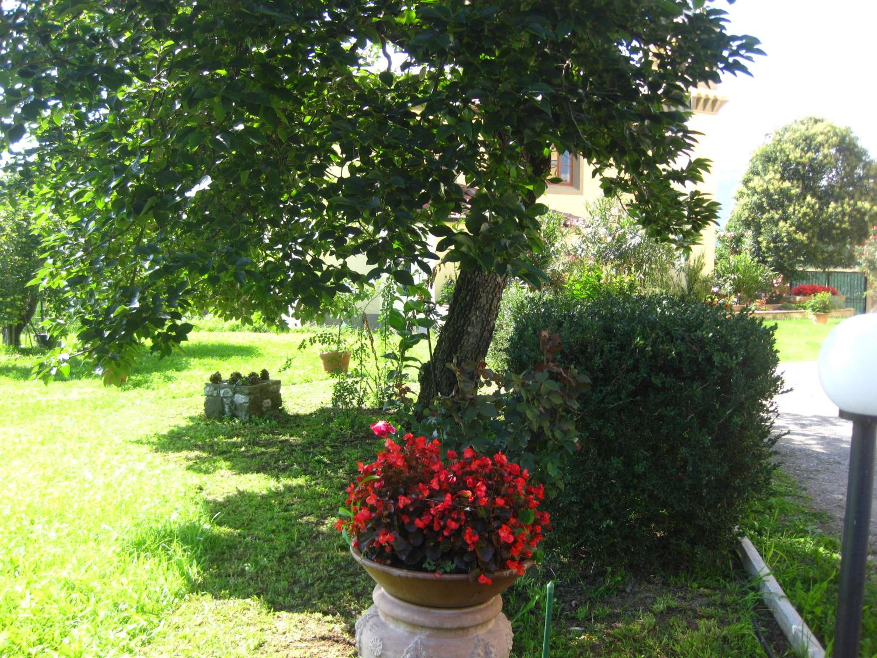Photo 24