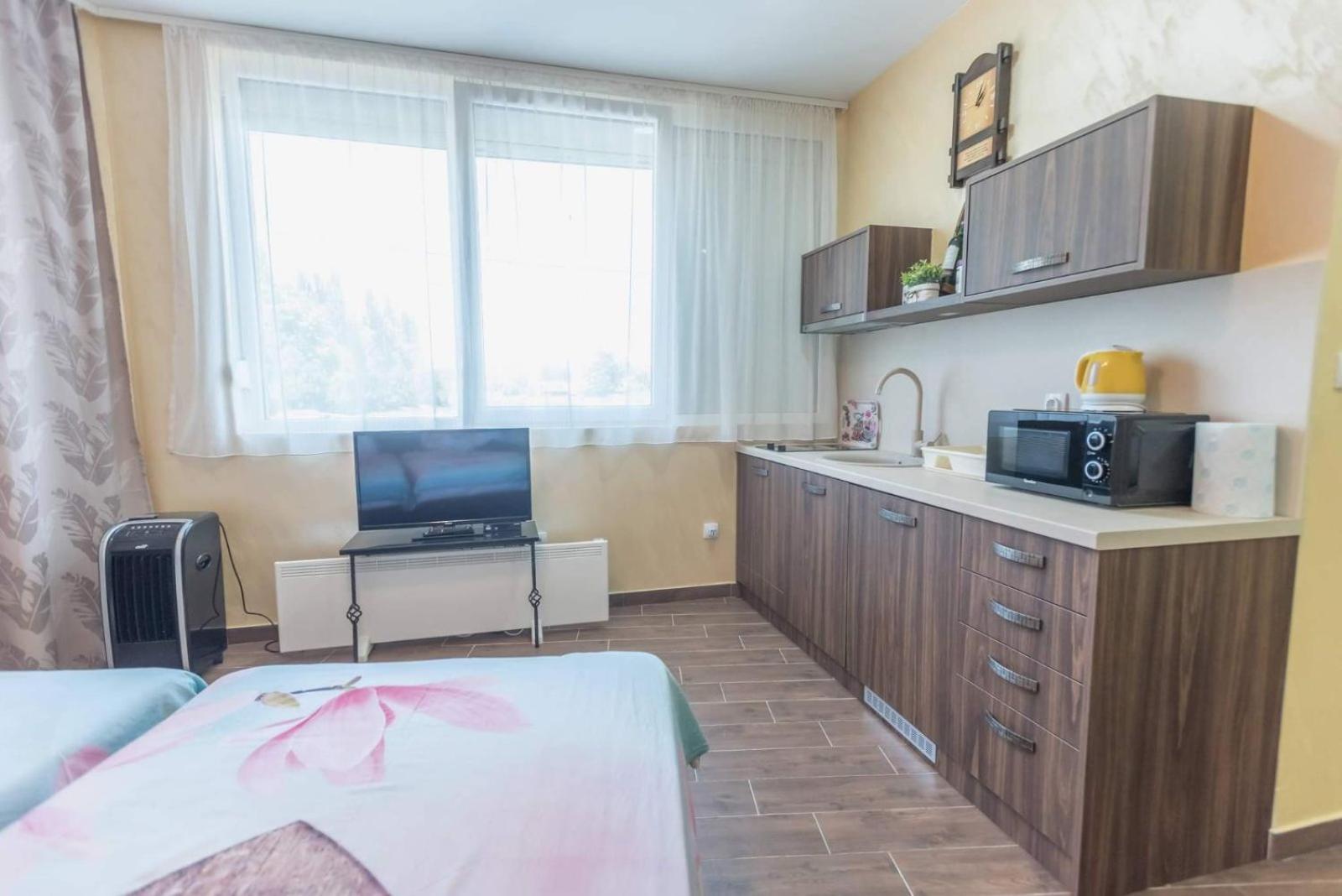 Drina apartman view 4