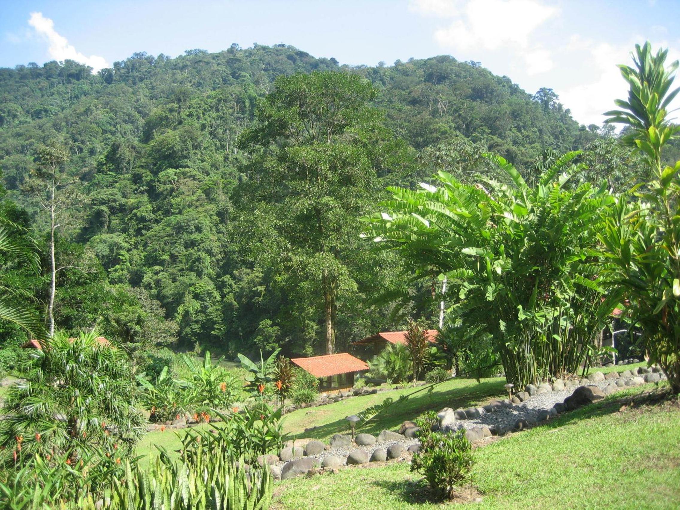 Pacuare River Lodge