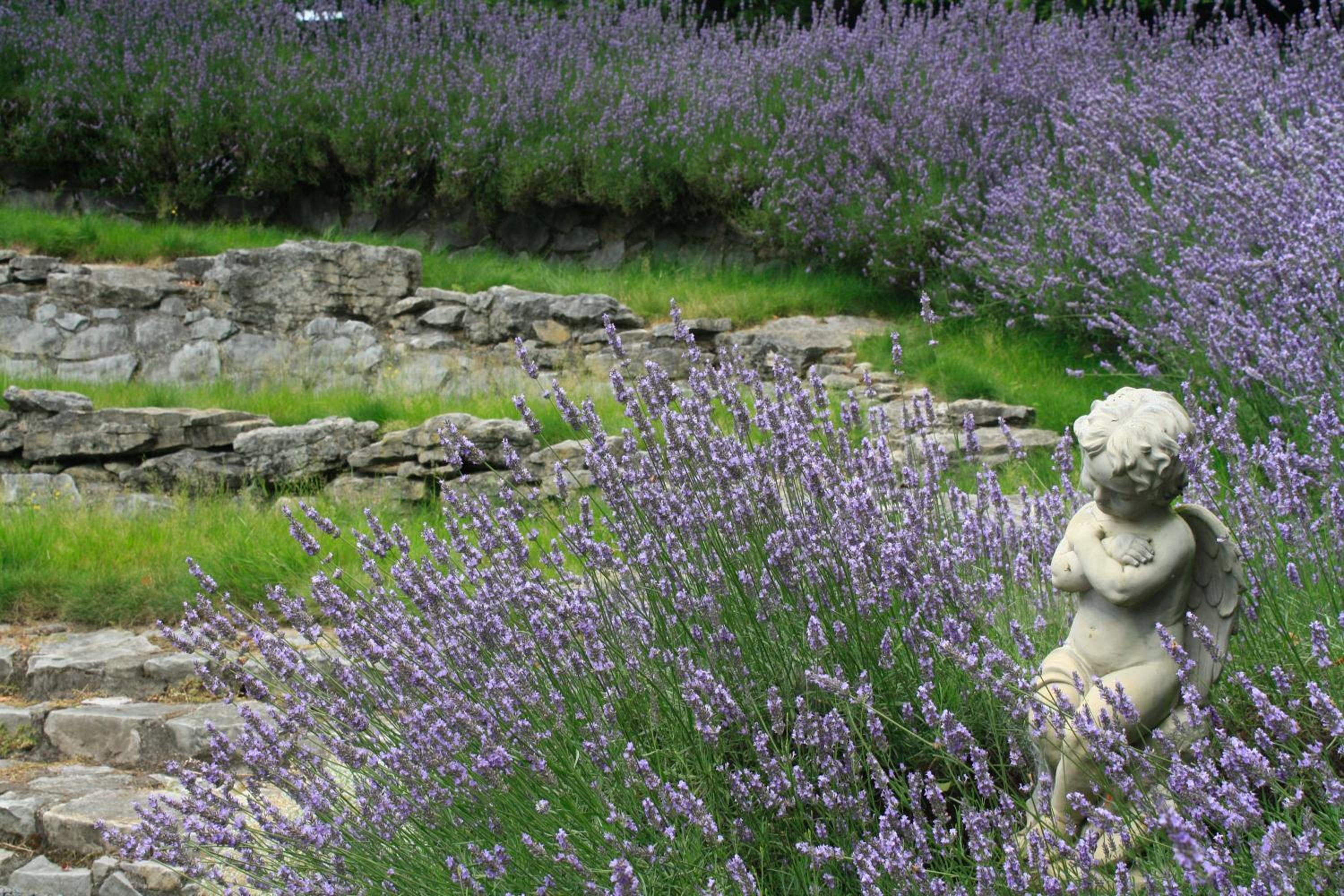 Bradleys Garden Bed and Breakfast 12