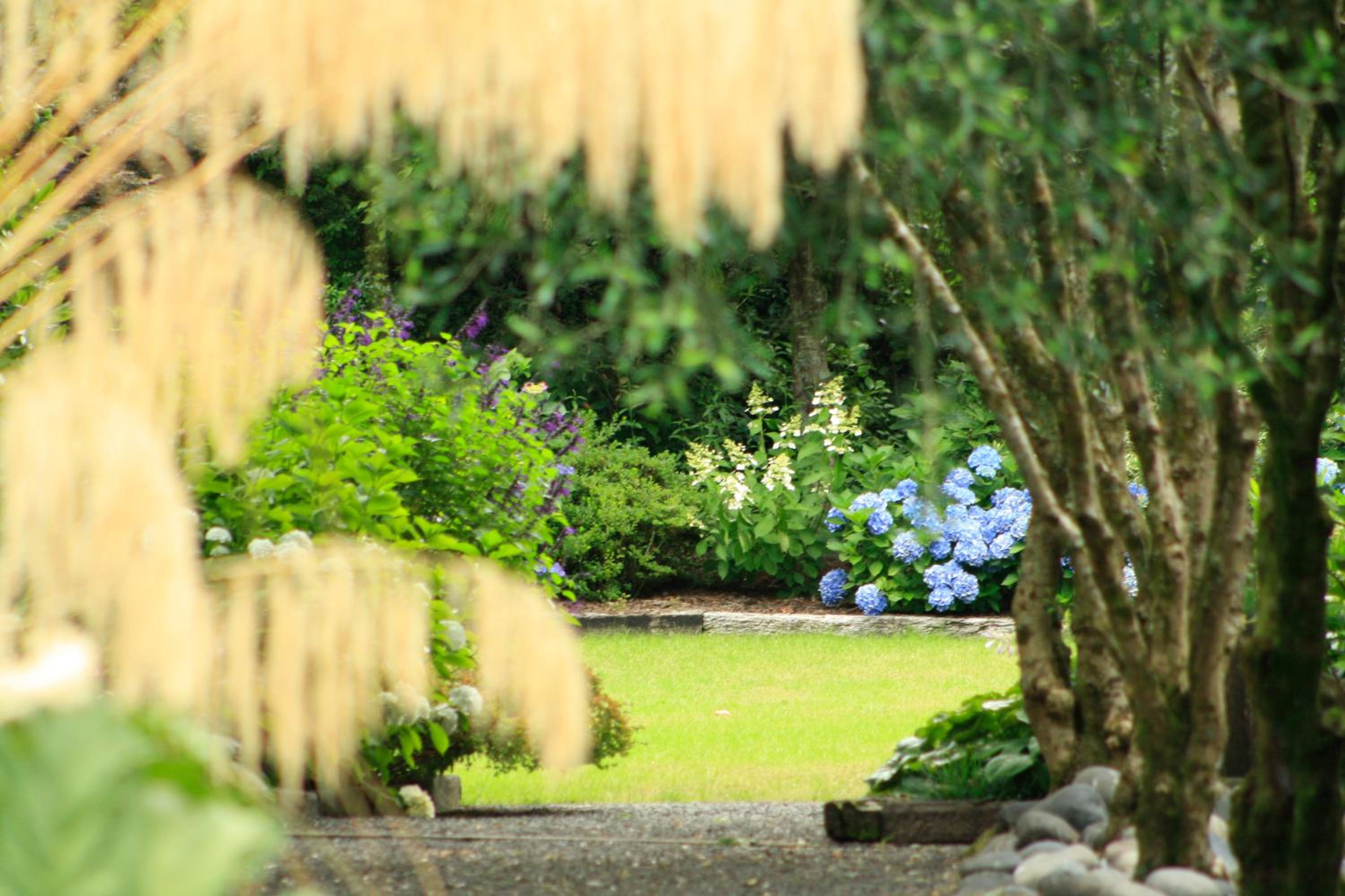 Bradleys Garden Bed and Breakfast 17