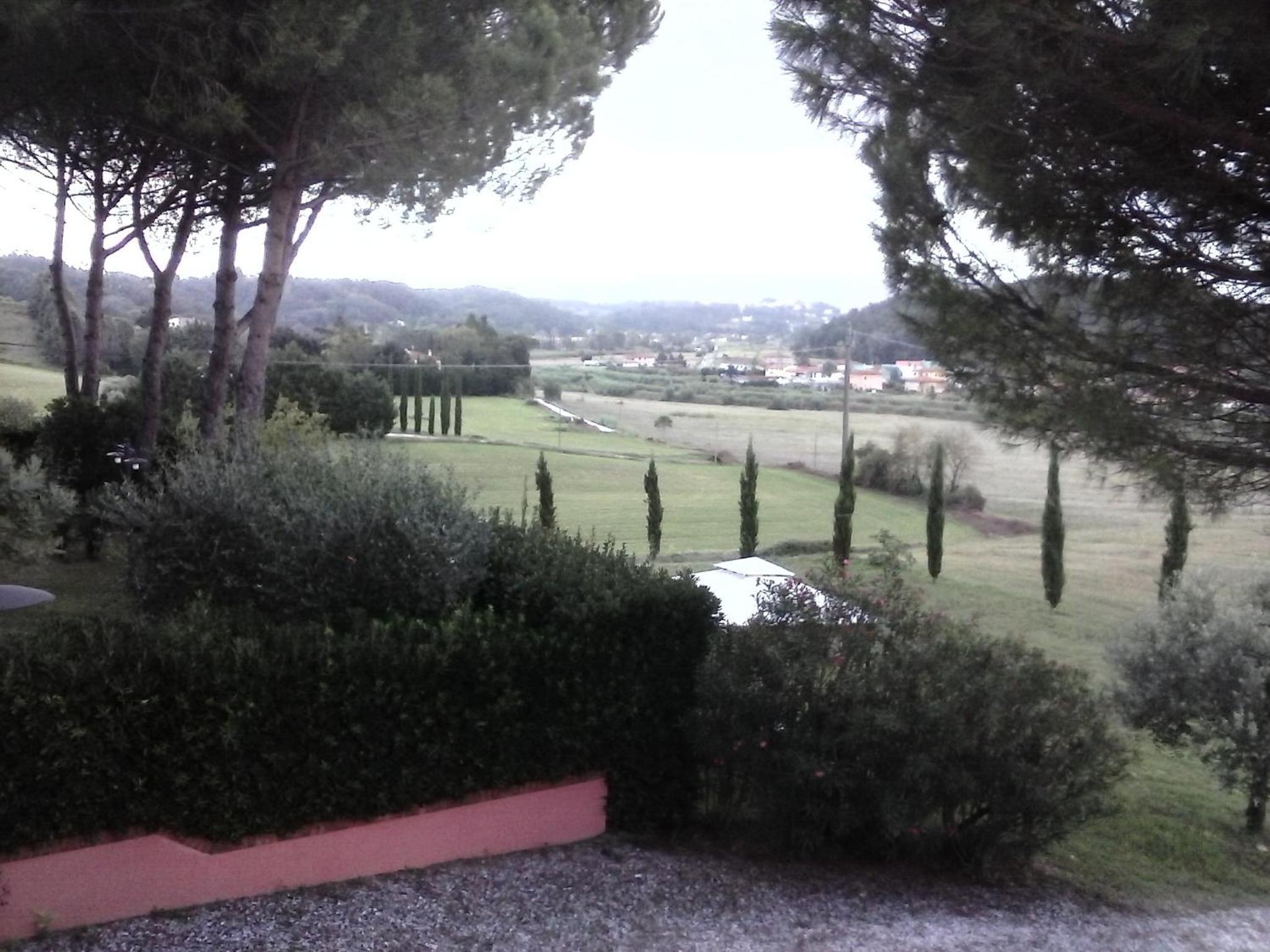 Photo 37