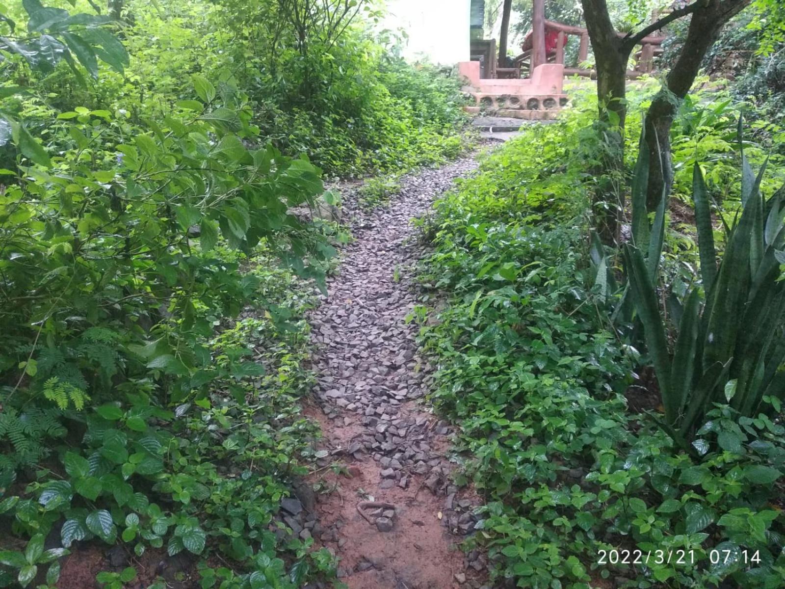 Photo 22
