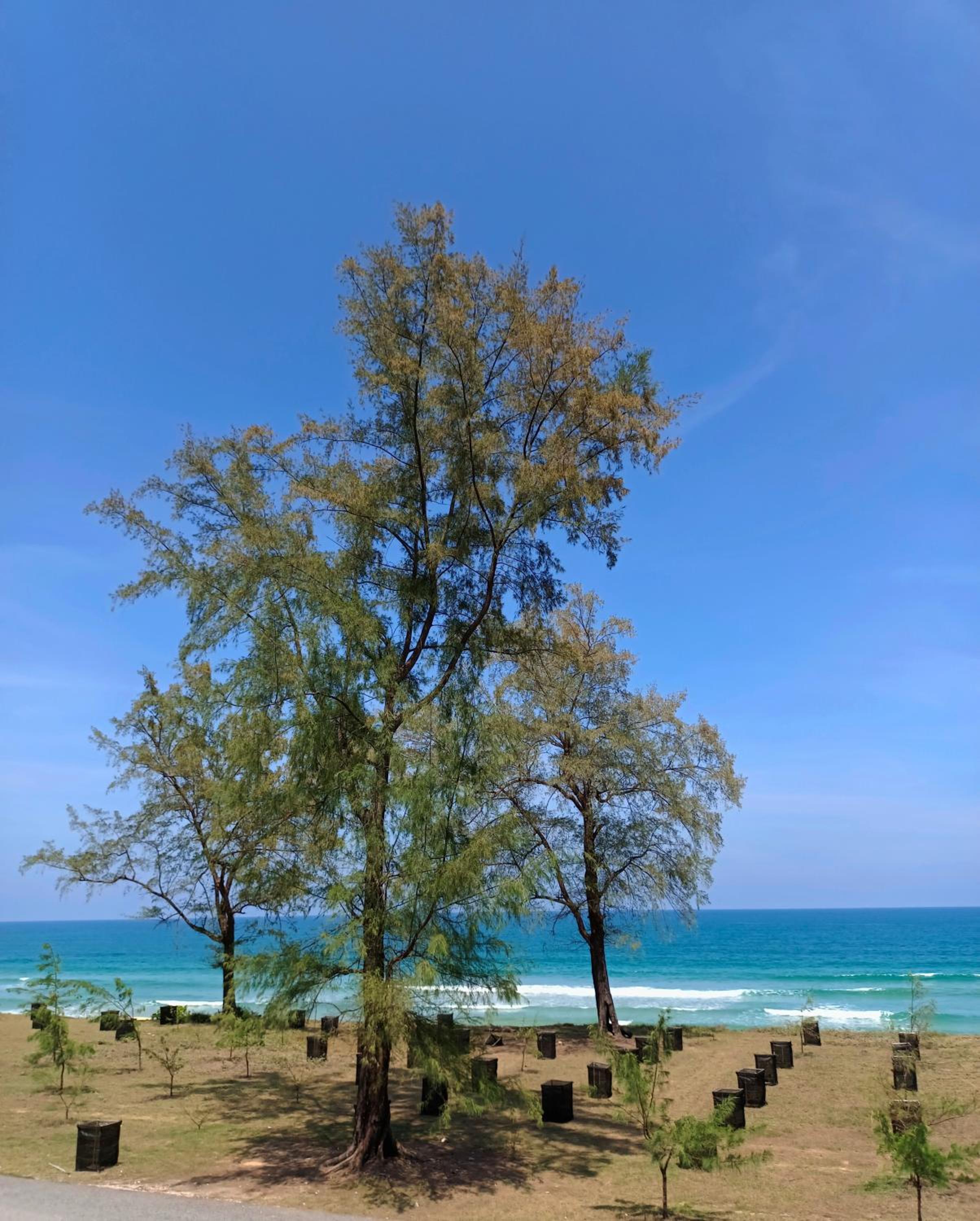 The Retreat Tanjung Jara photo 3
