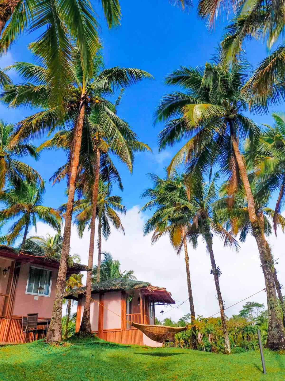 Caliraya Ecoville Recreation and Farm Resort