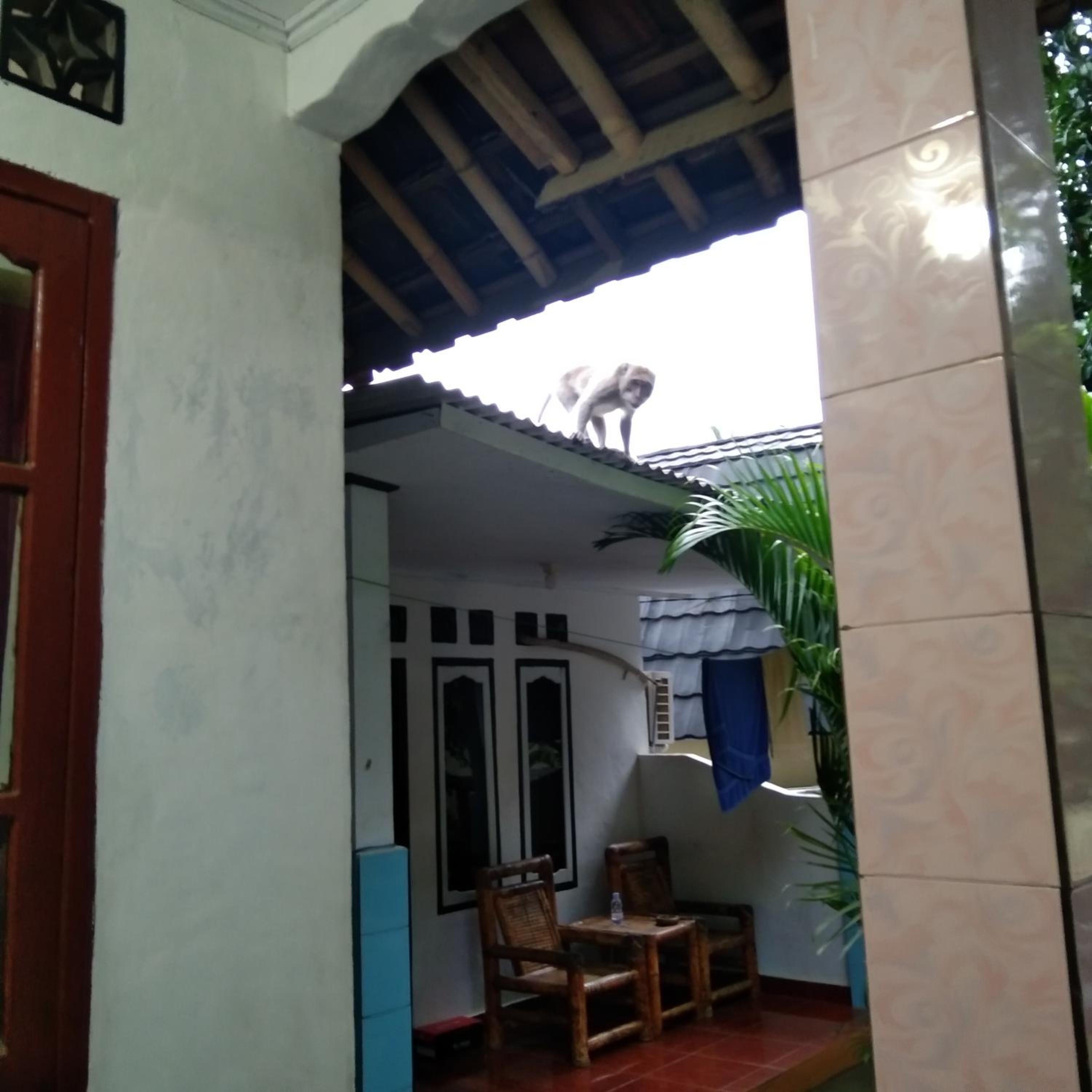 Photo 47