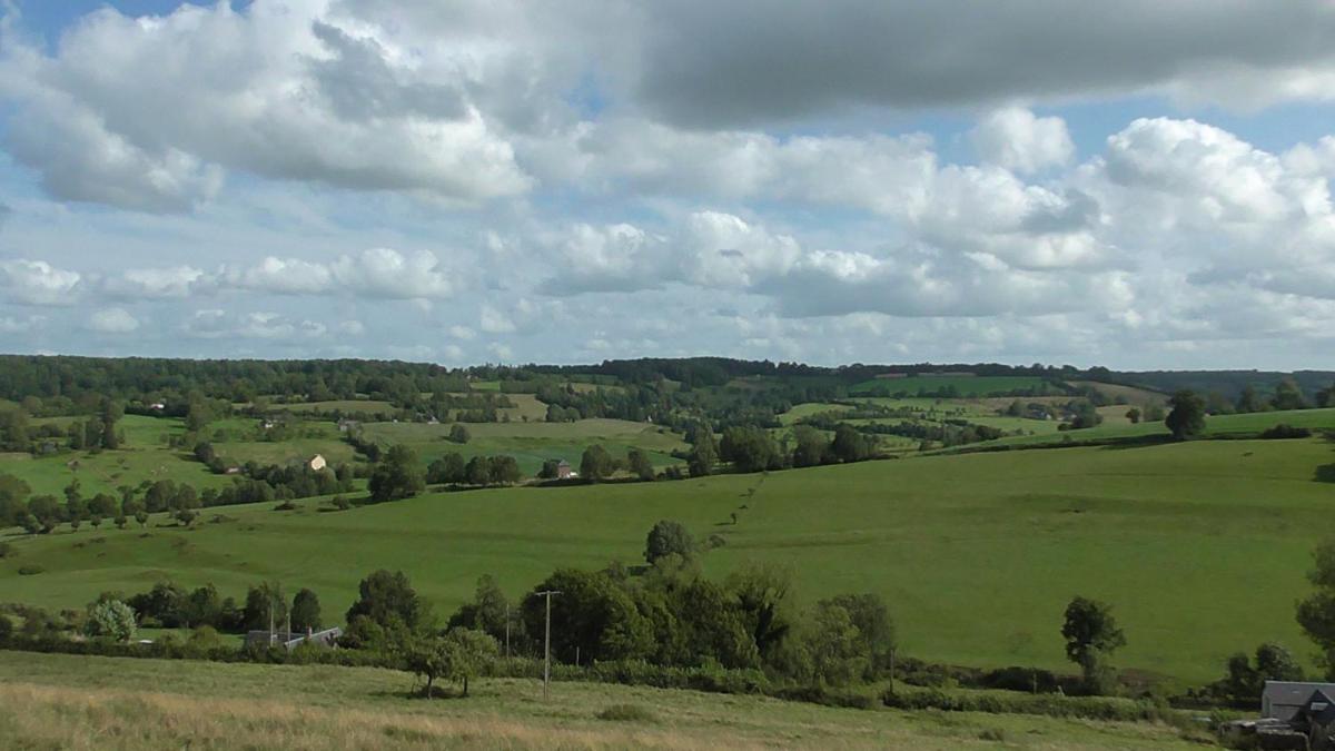 Photo 25