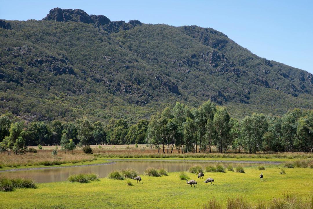 Halls Gap Motel