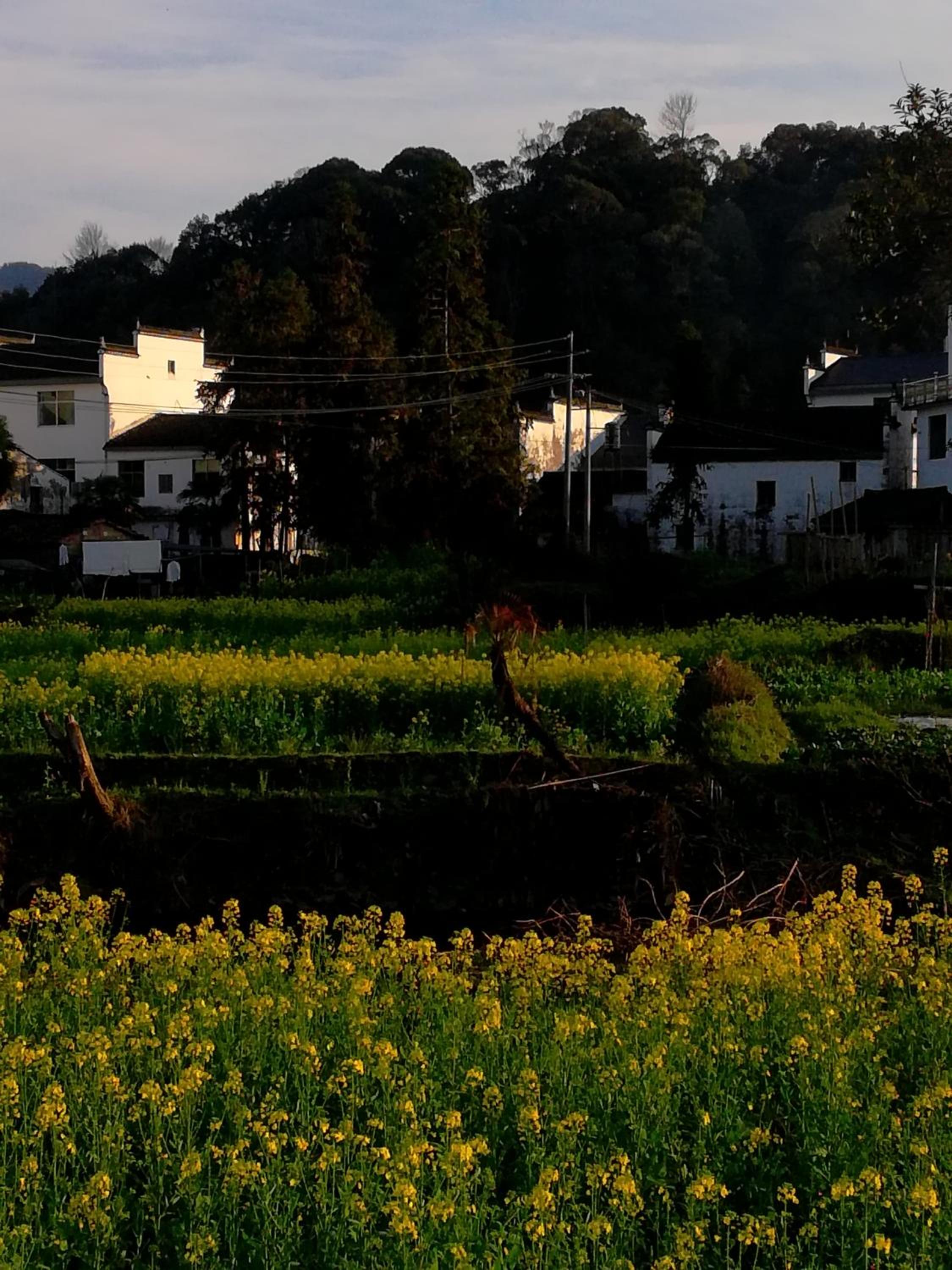 WuYuan QiYe YanXiang Guesthouse