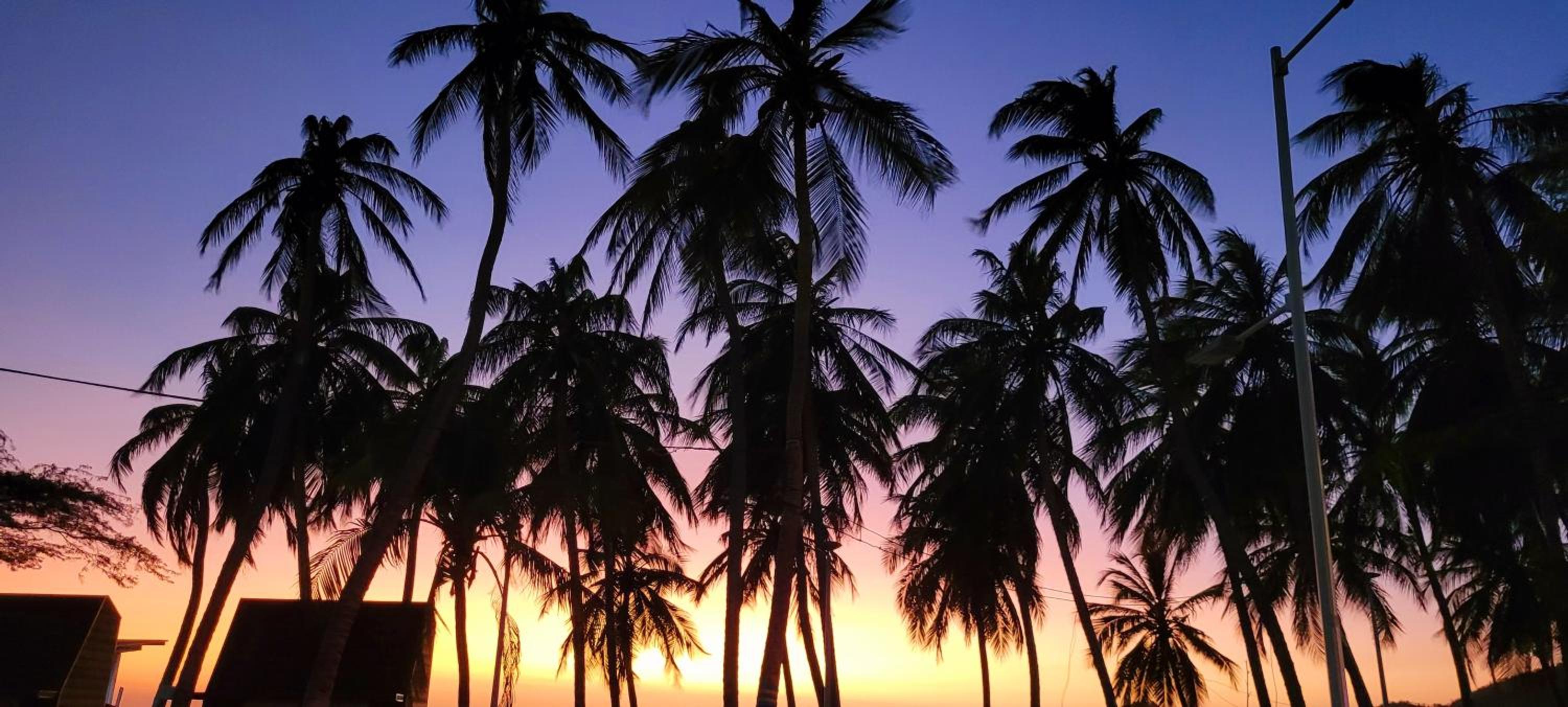 Aptartamentos Temáticos con balcón panorámico frente a la Playa