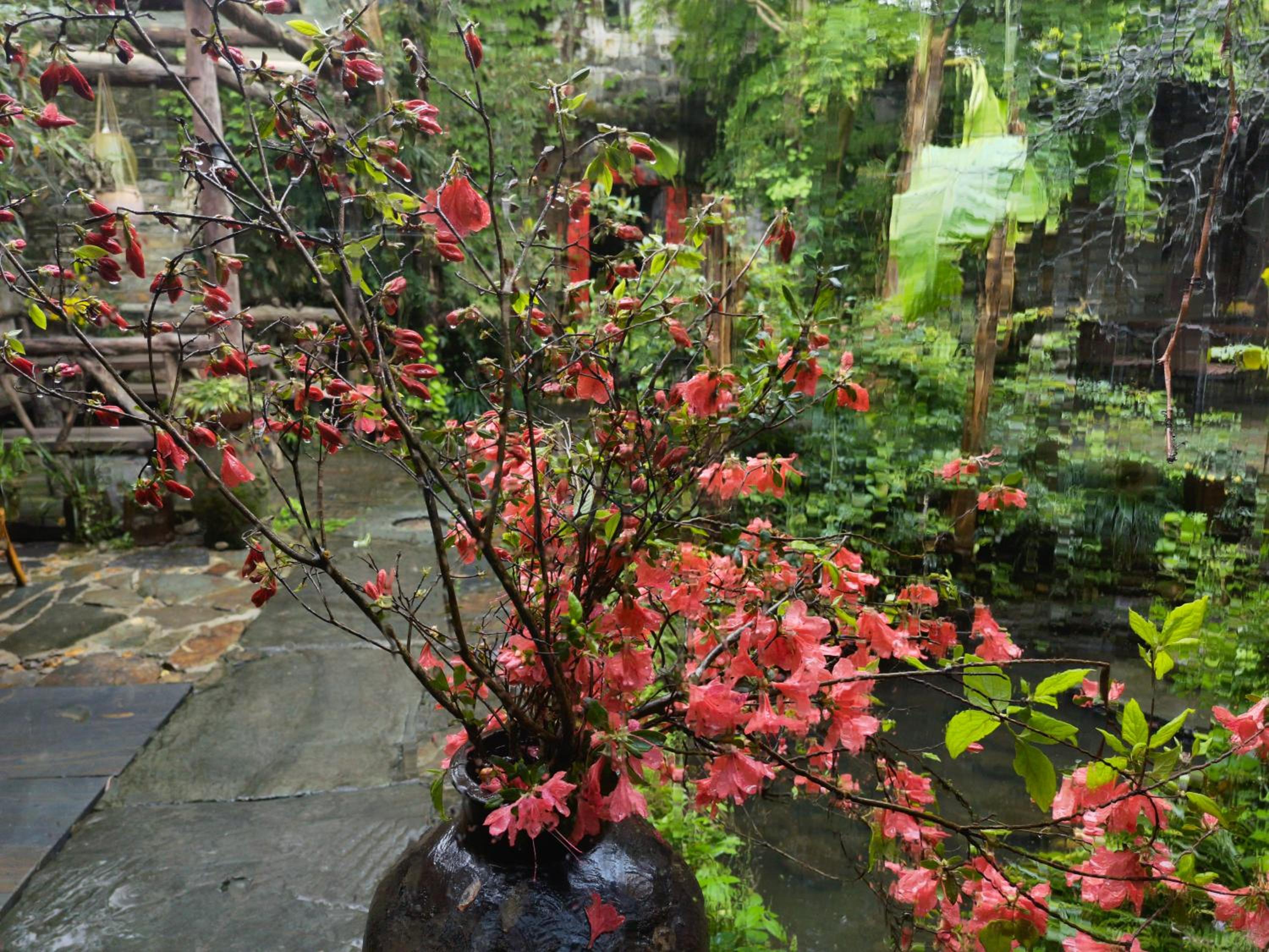 WuYuan QiYe YanXiang Guesthouse