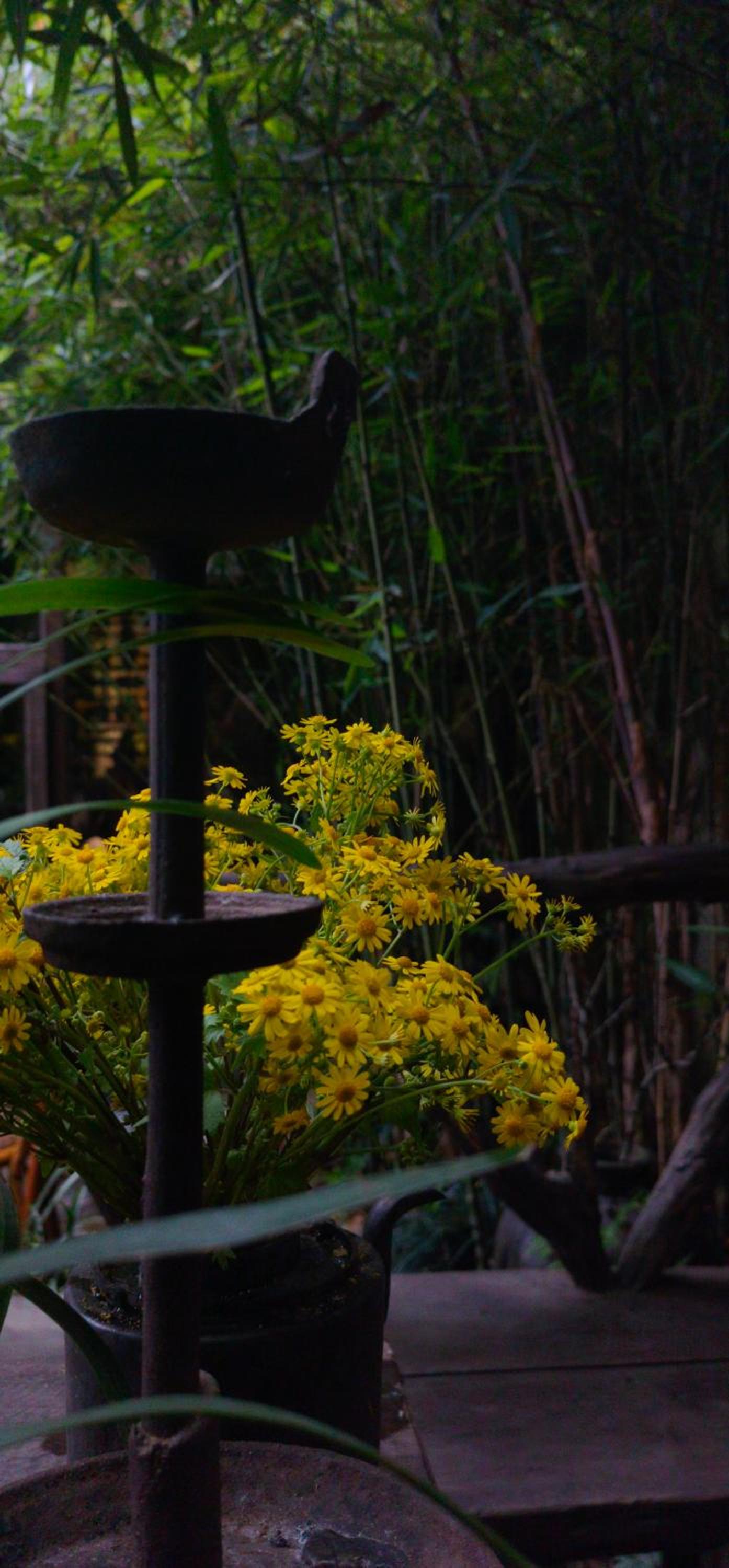 WuYuan QiYe YanXiang Guesthouse