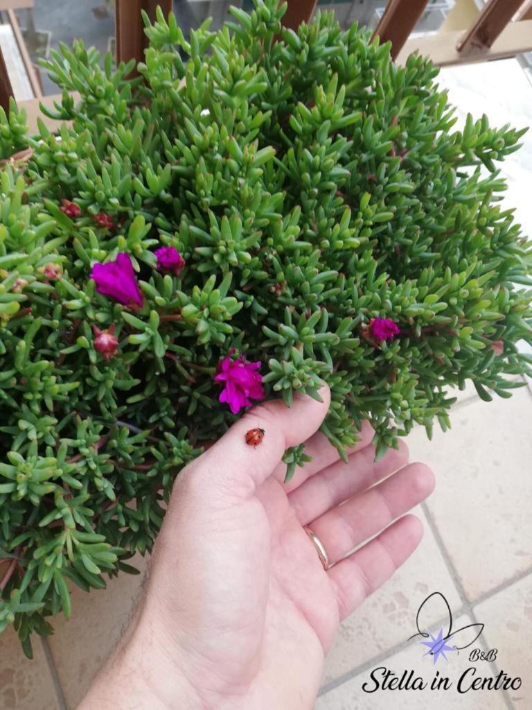 Photo 34