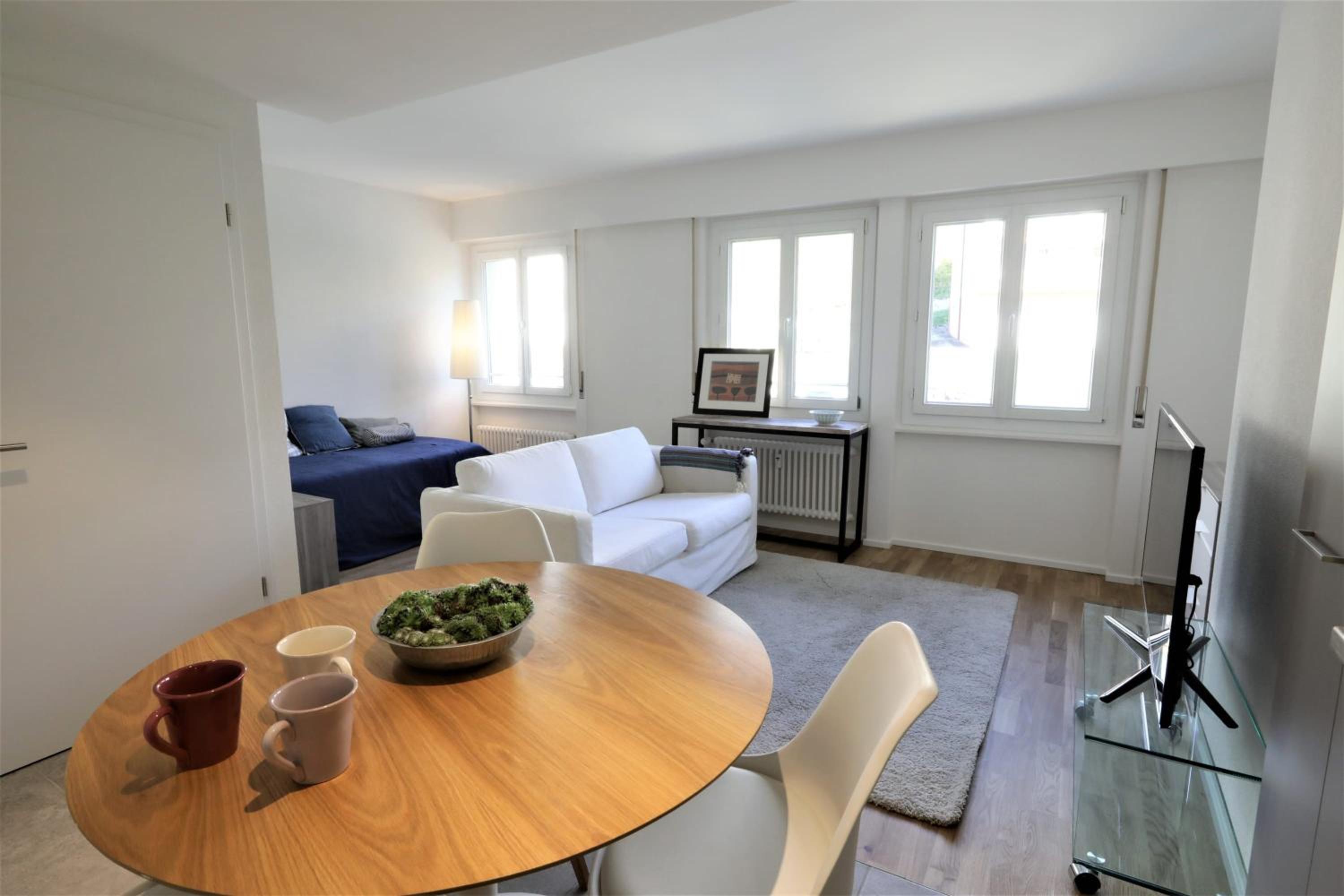 The 109 - Stunning new studios by the lake, close to city center of Lausanne view 5