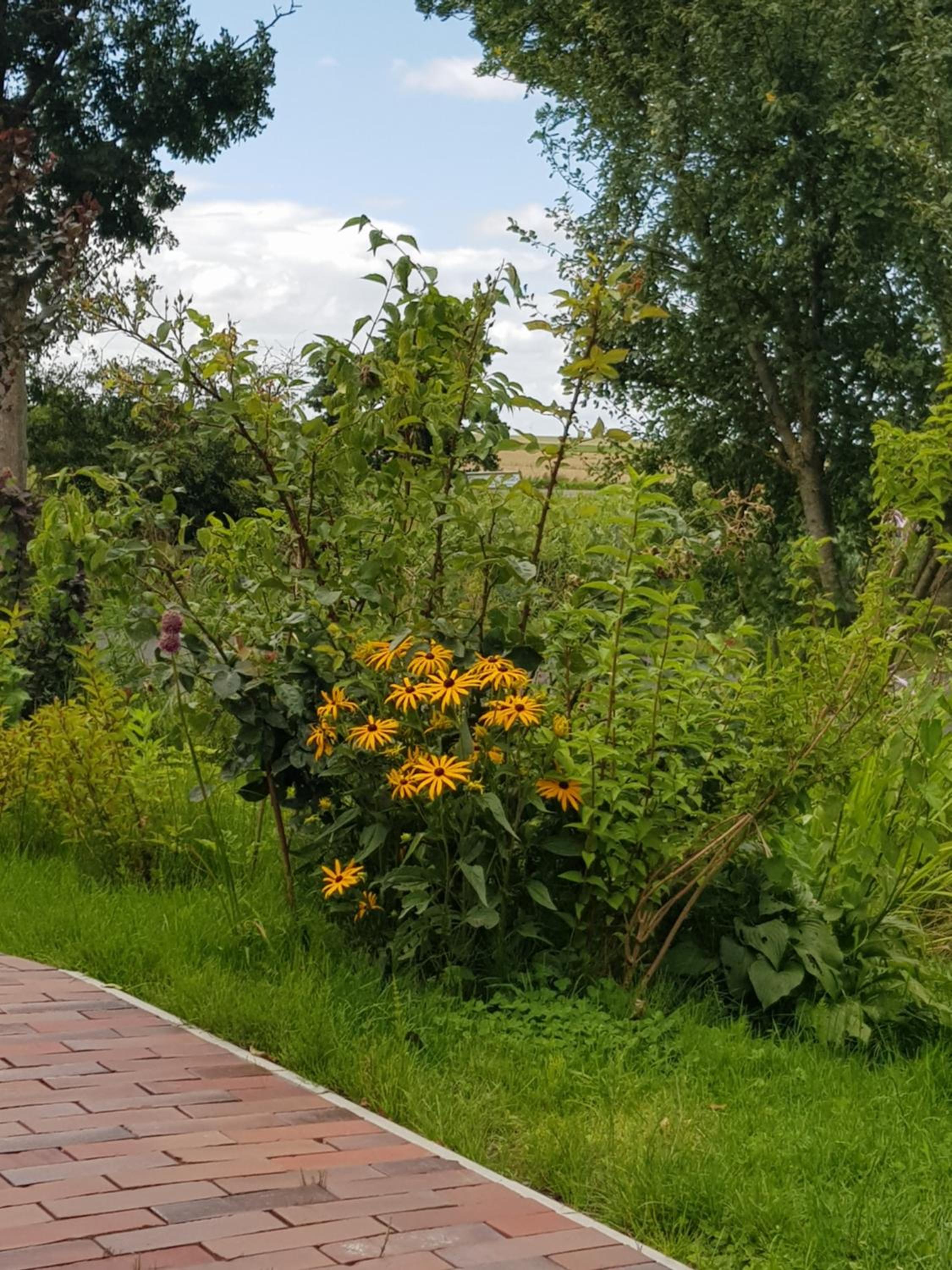 Gulfhof Anelis