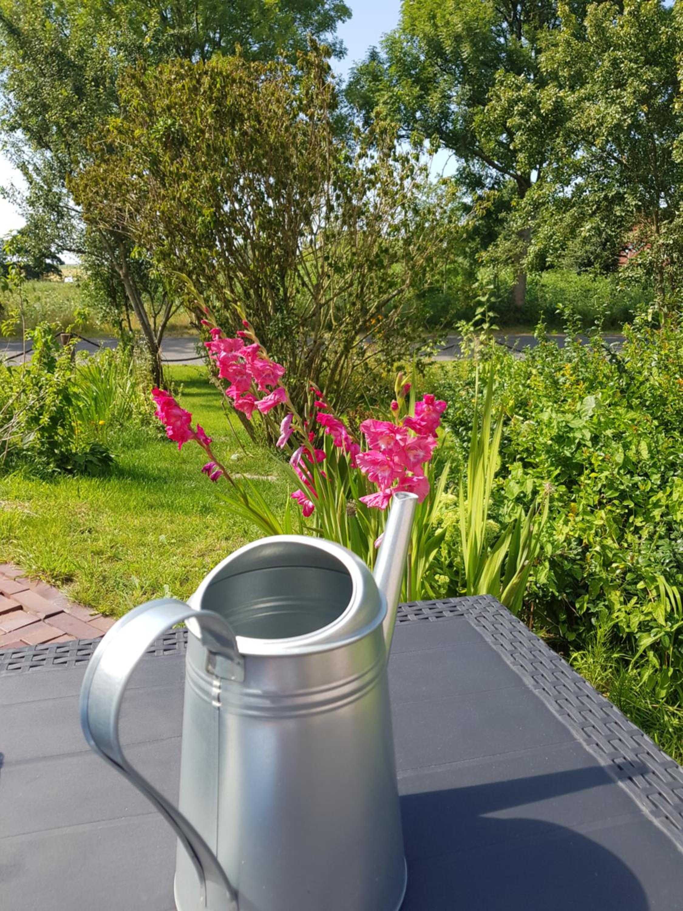 Gulfhof Anelis