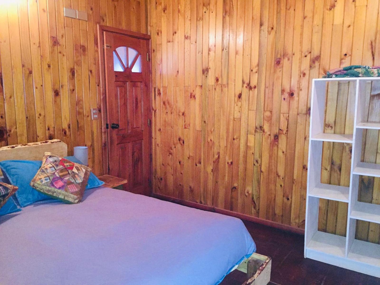 Hostel Raíz