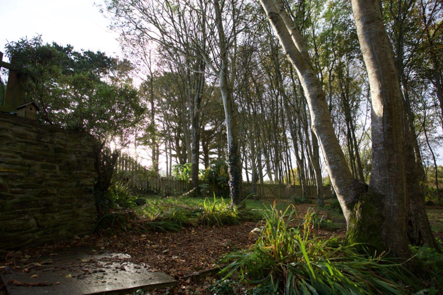 Woodlands, Little Carloggas, St Mawgan, Newquay, Cornwall, TR8 4EQ view 5