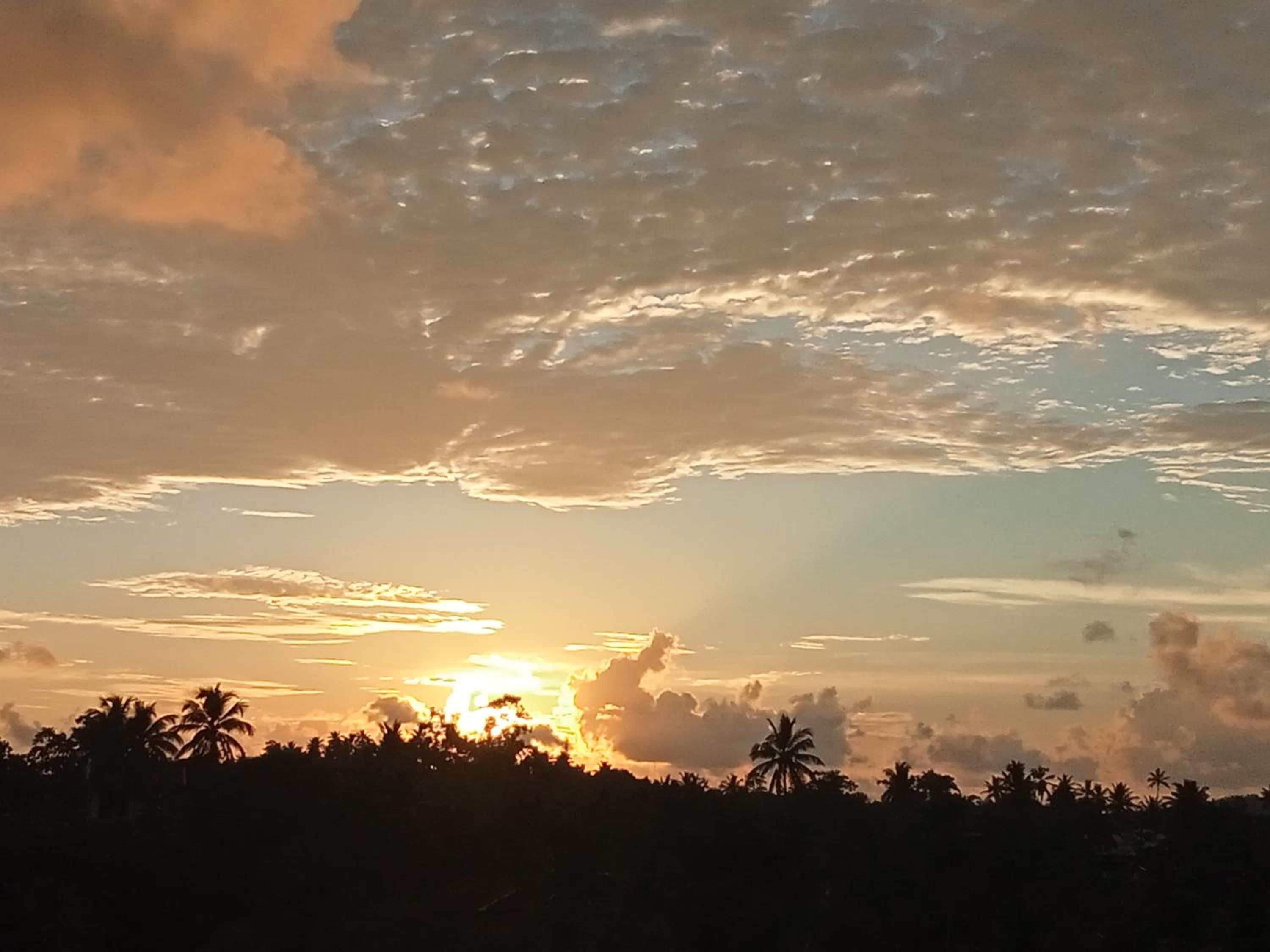 Sunrise Eco Resort view 4