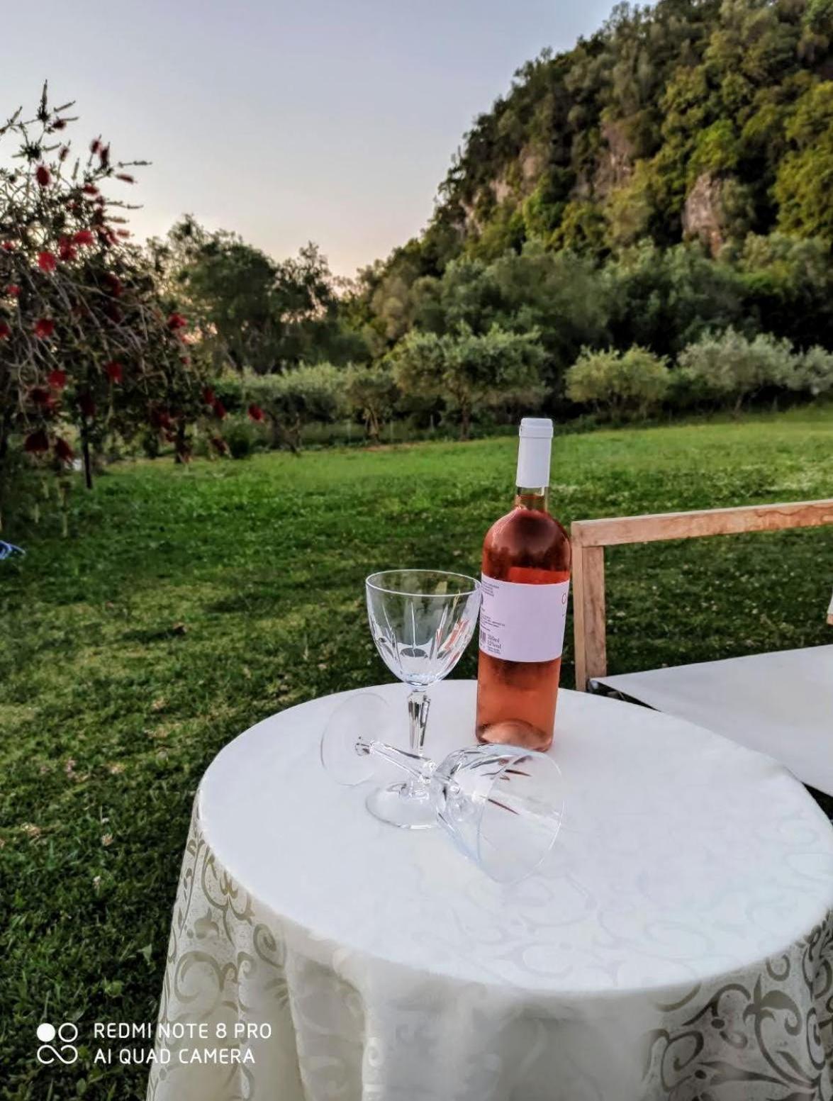Irini's country house view 5