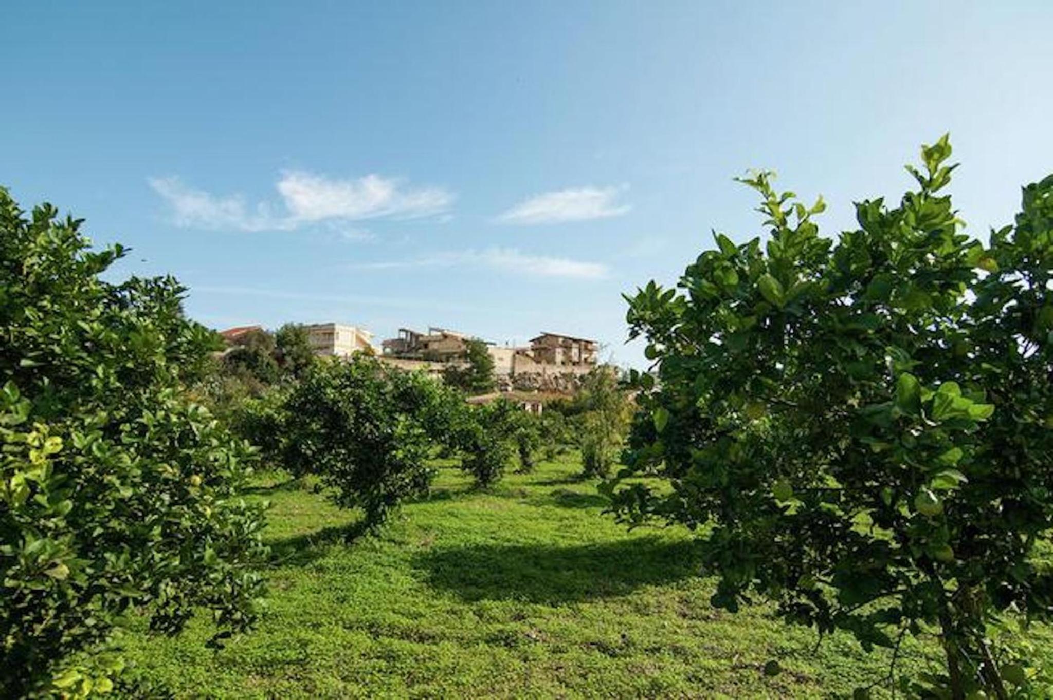 Casa del limoneto di Corrado Fronte