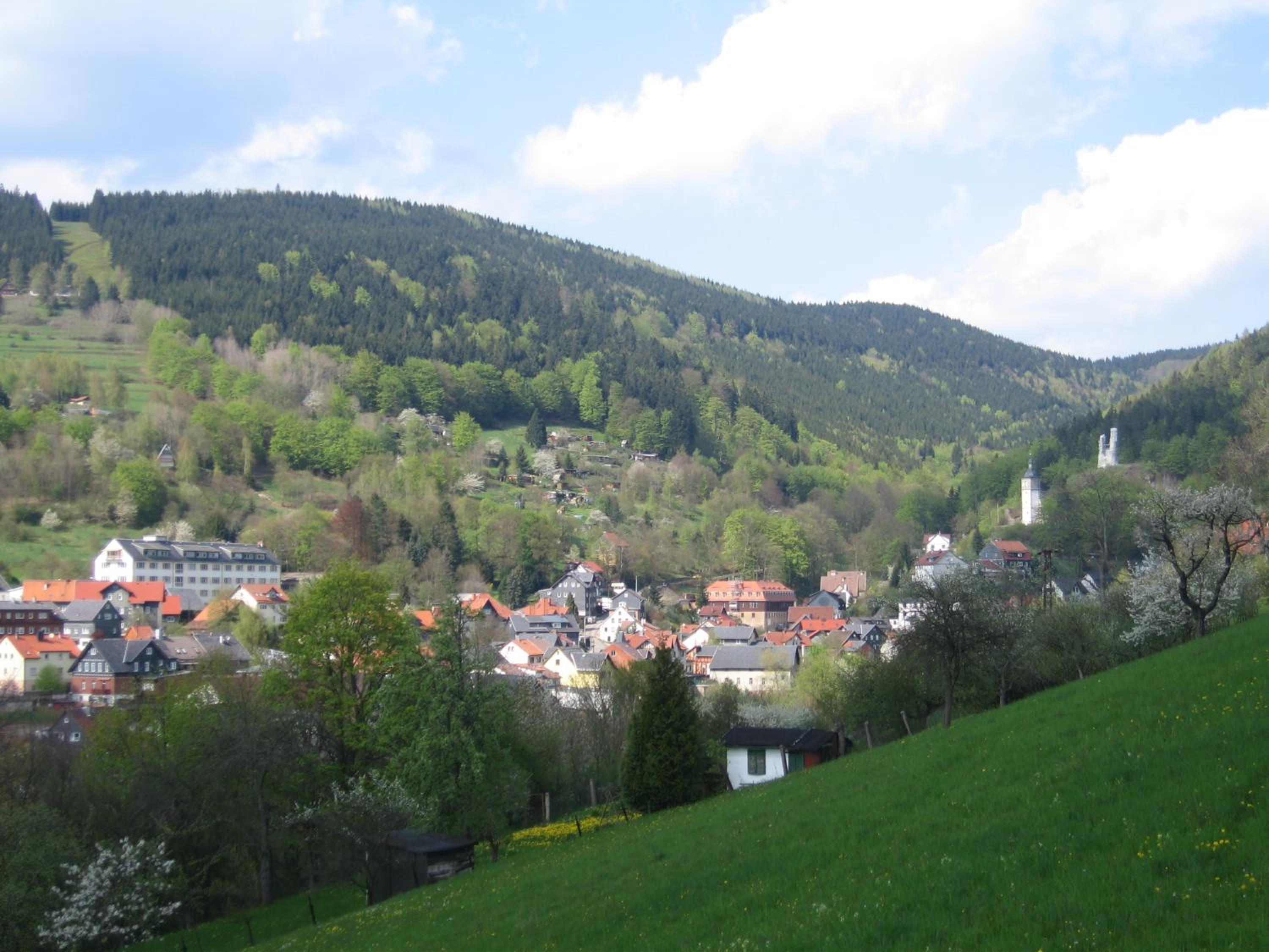 Photo 40