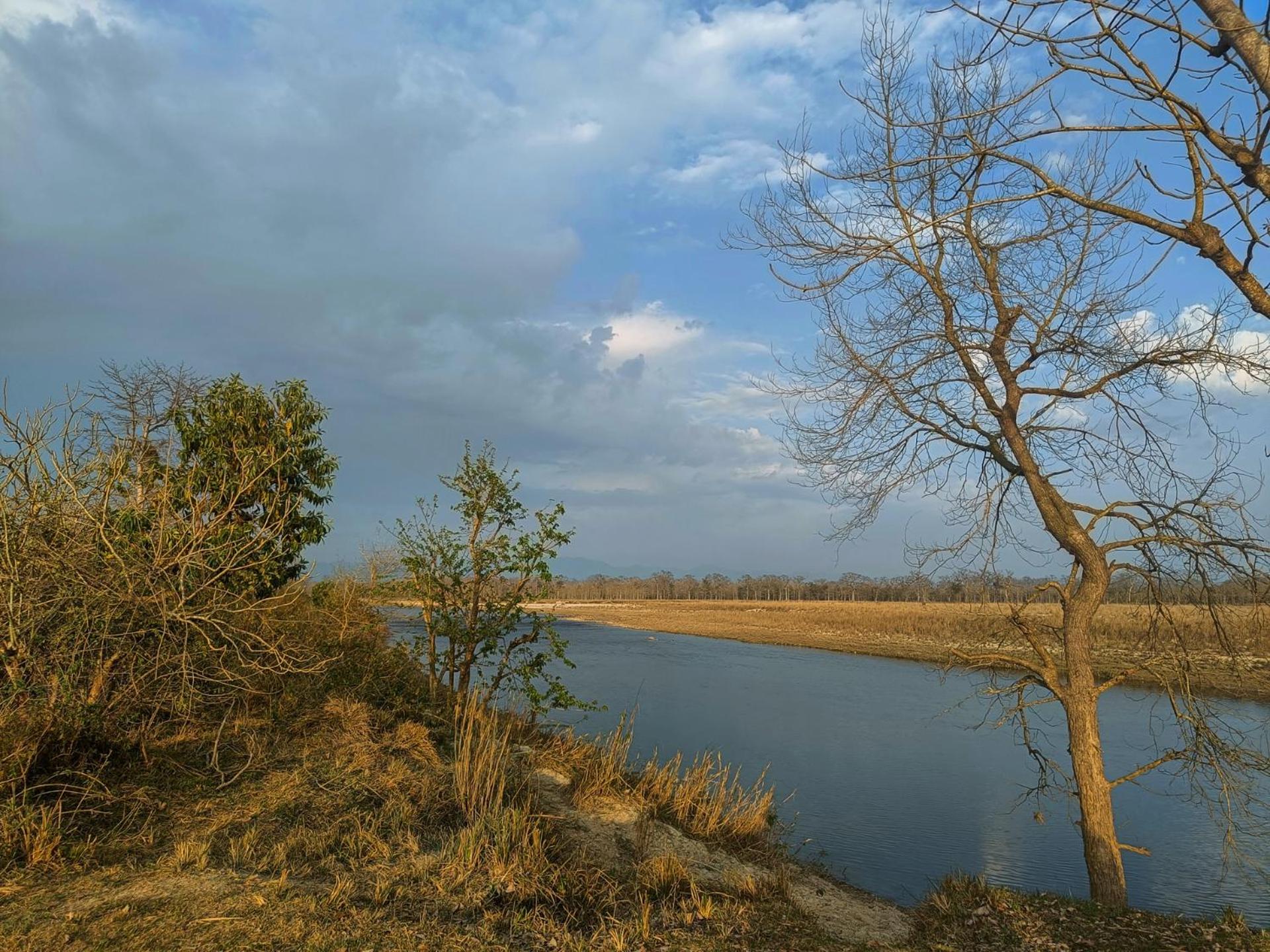 Photo 20