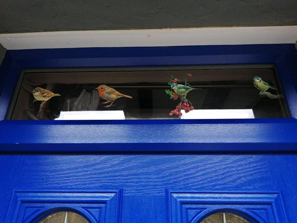 Photo 19