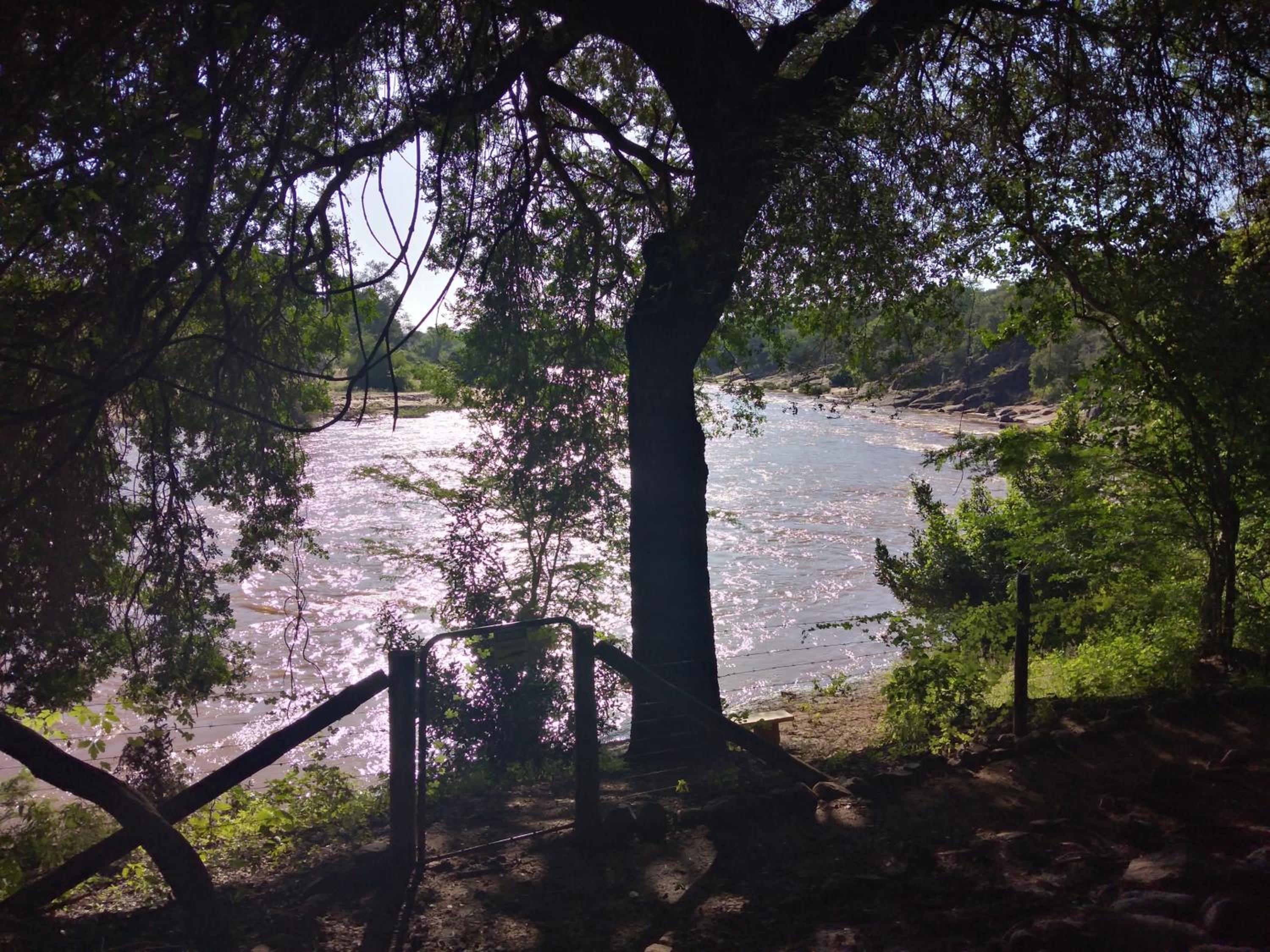 Photo 46