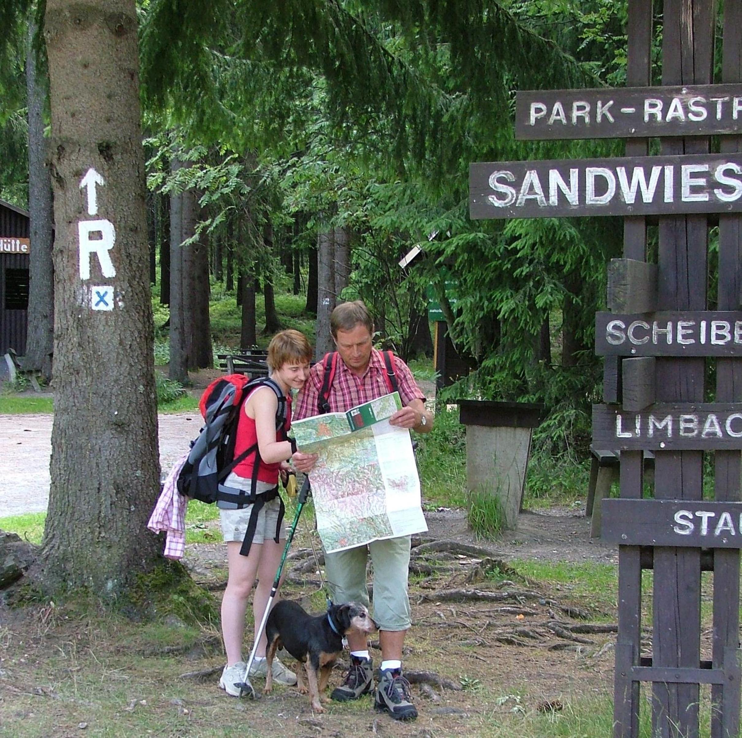 Photo 45