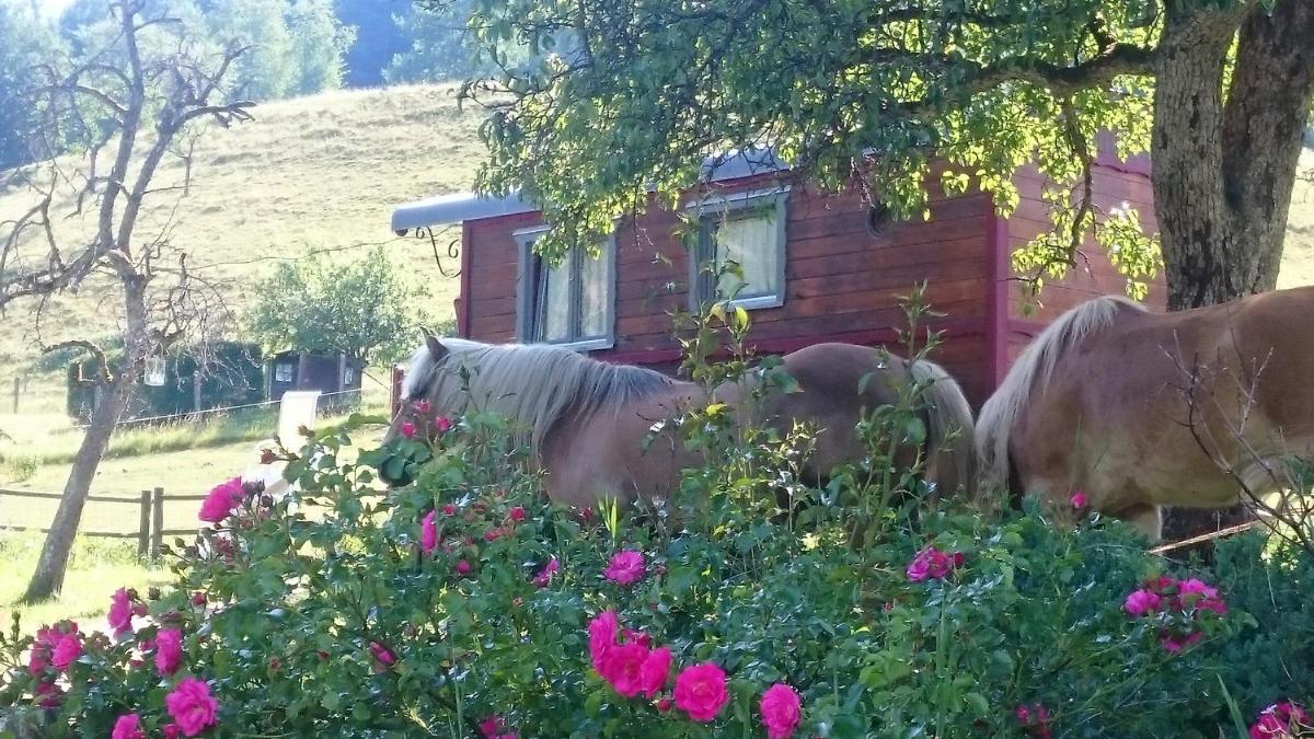 Ferme Traitsanes