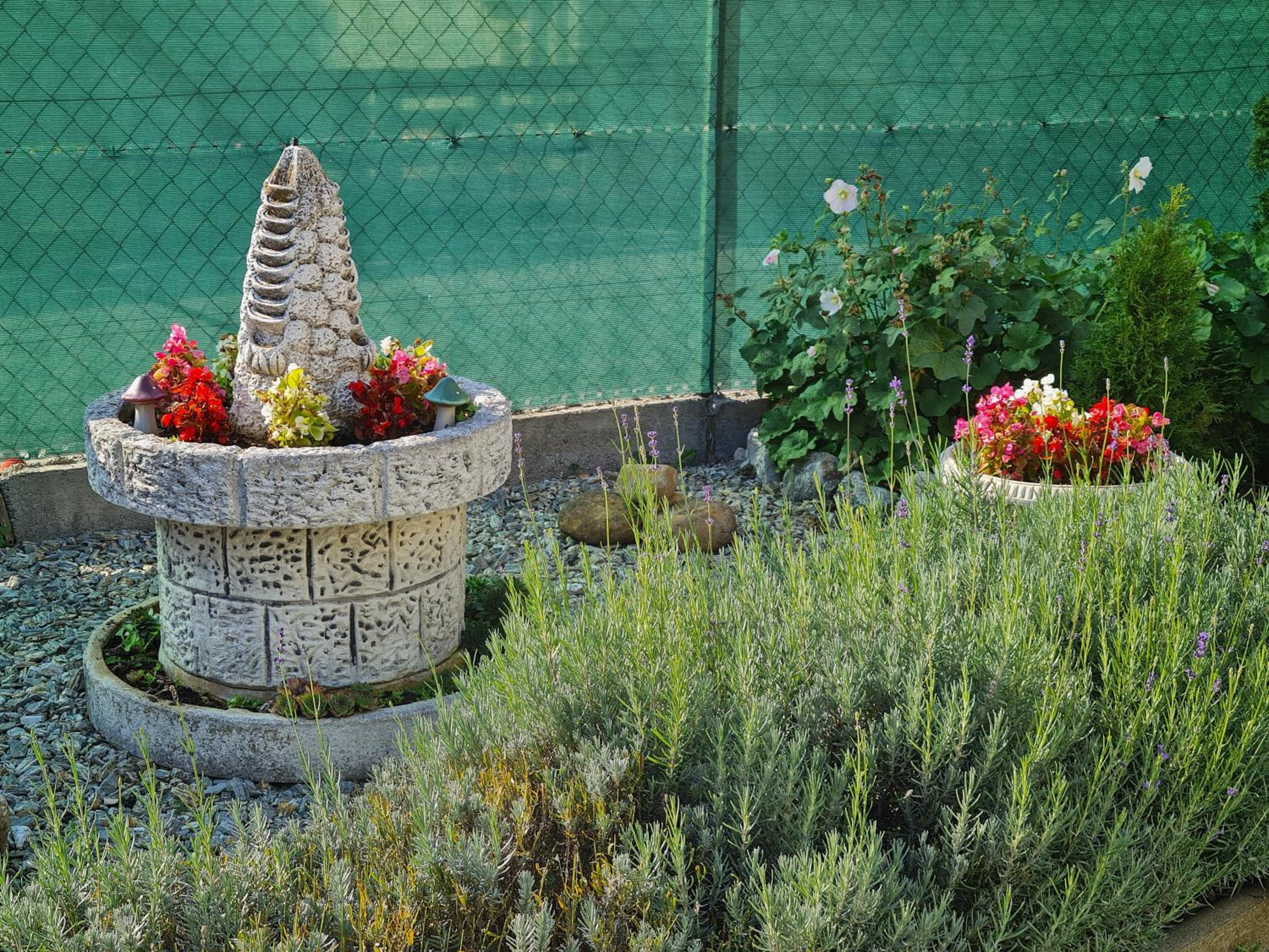 Photo 22