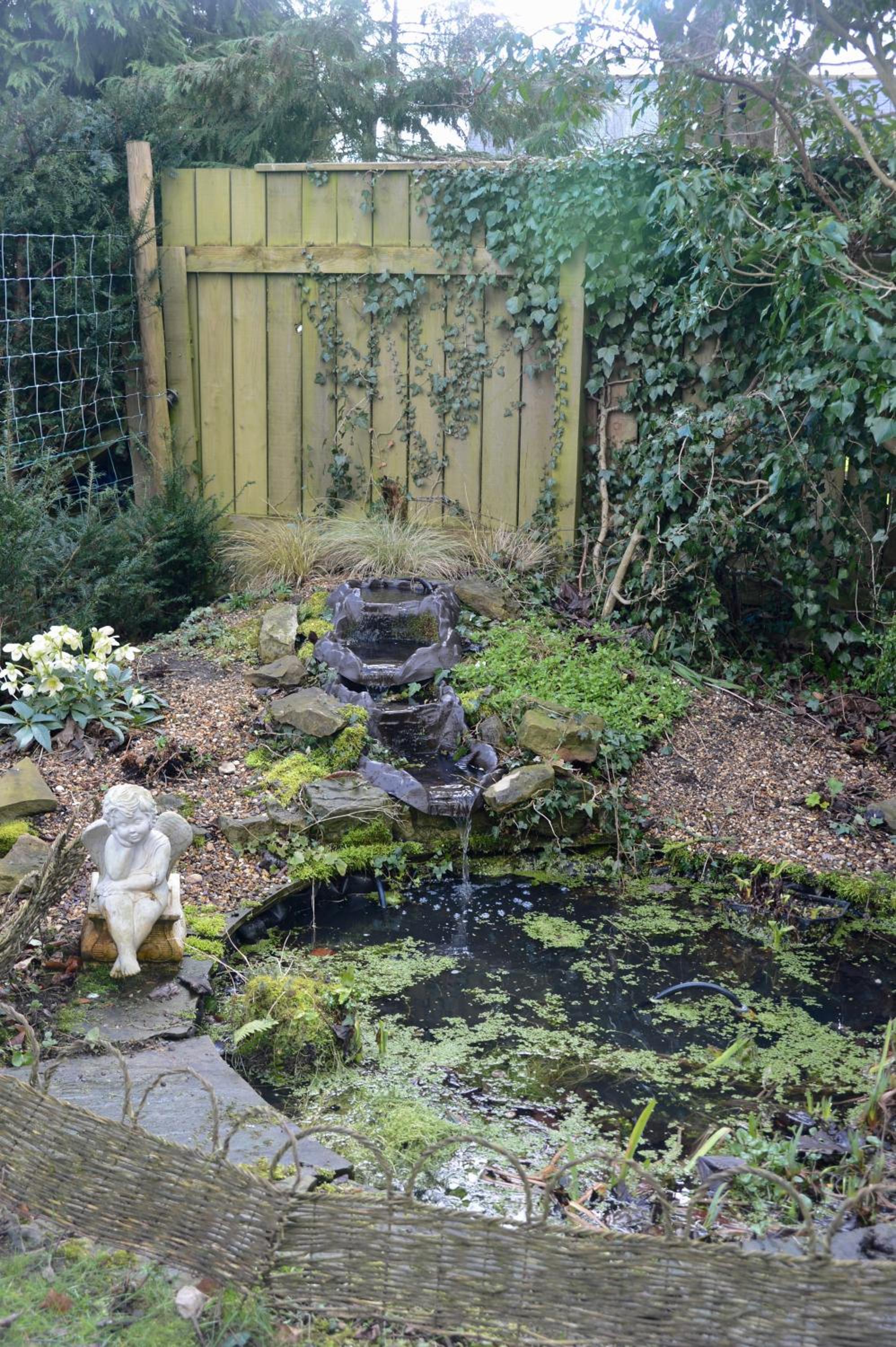Photo 13